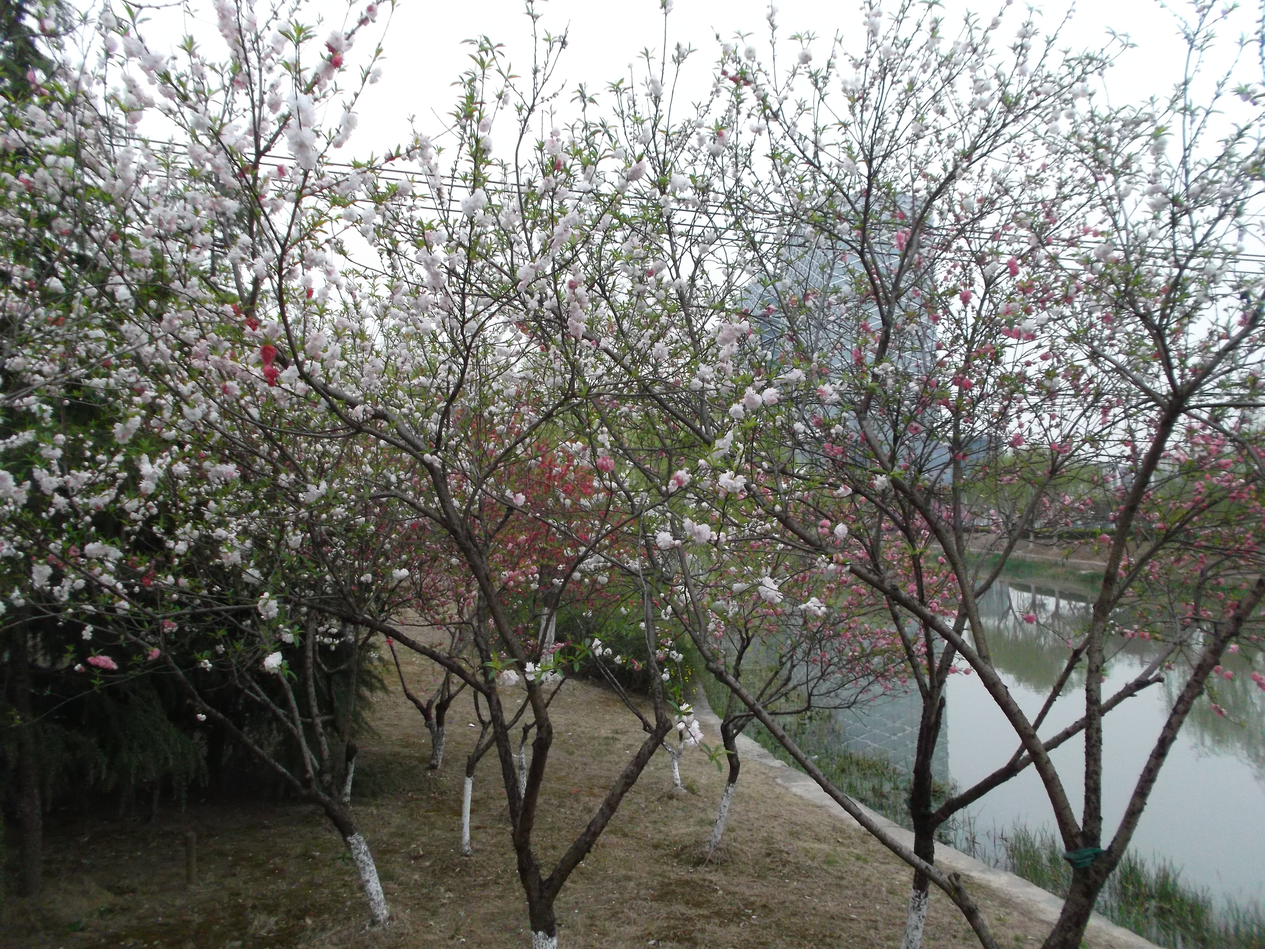 Lijiang