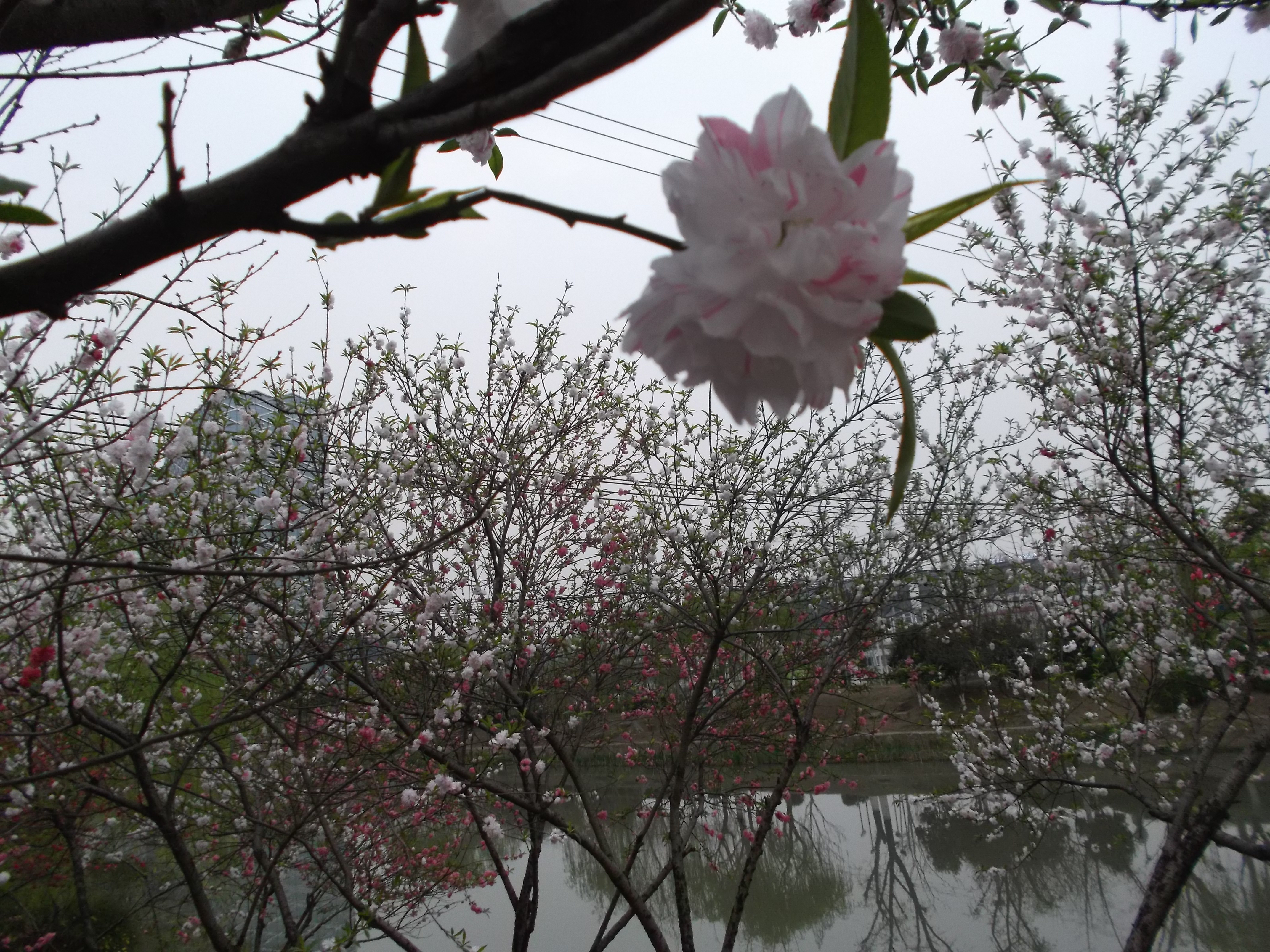 Lijiang