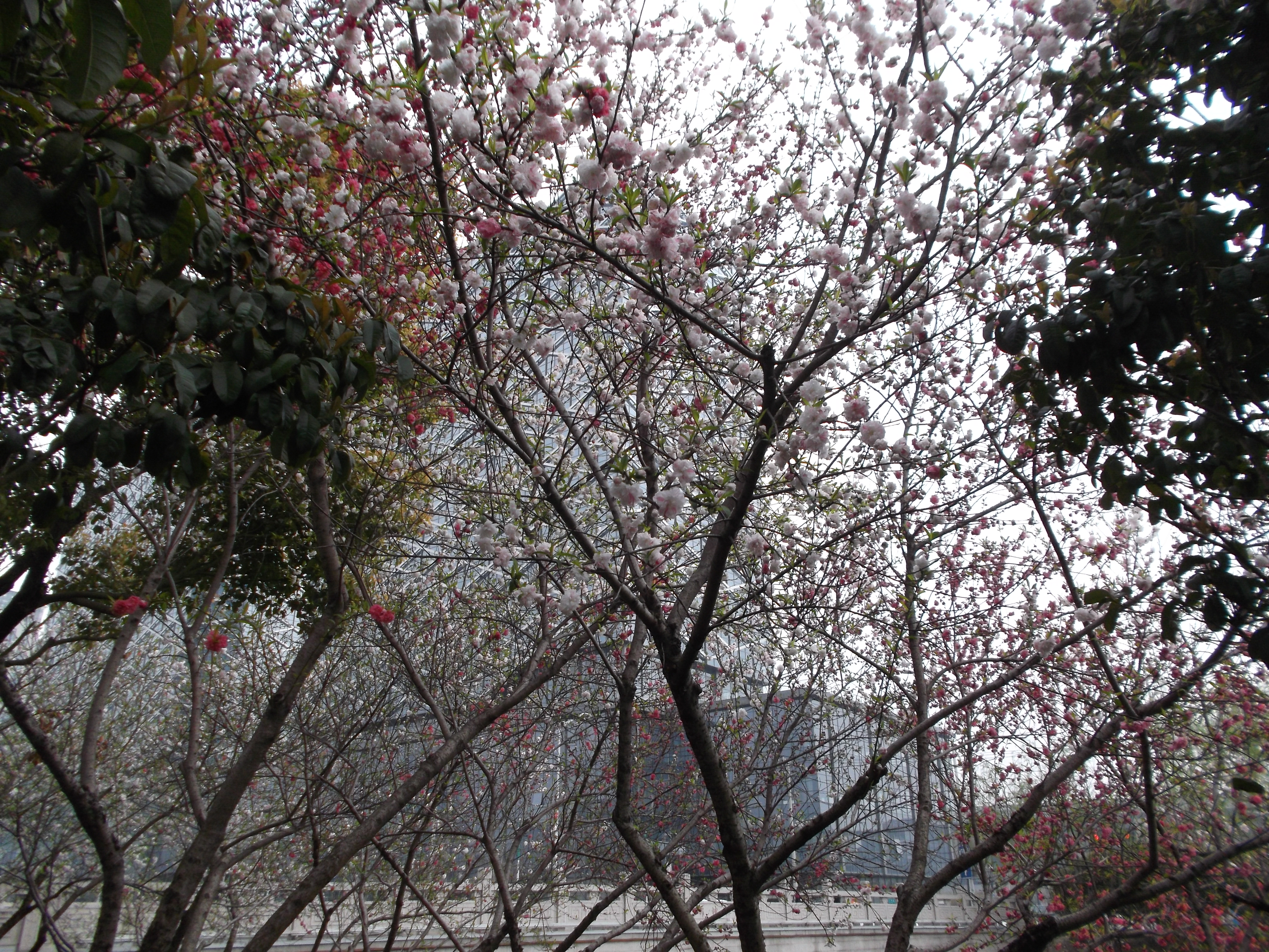 Lijiang