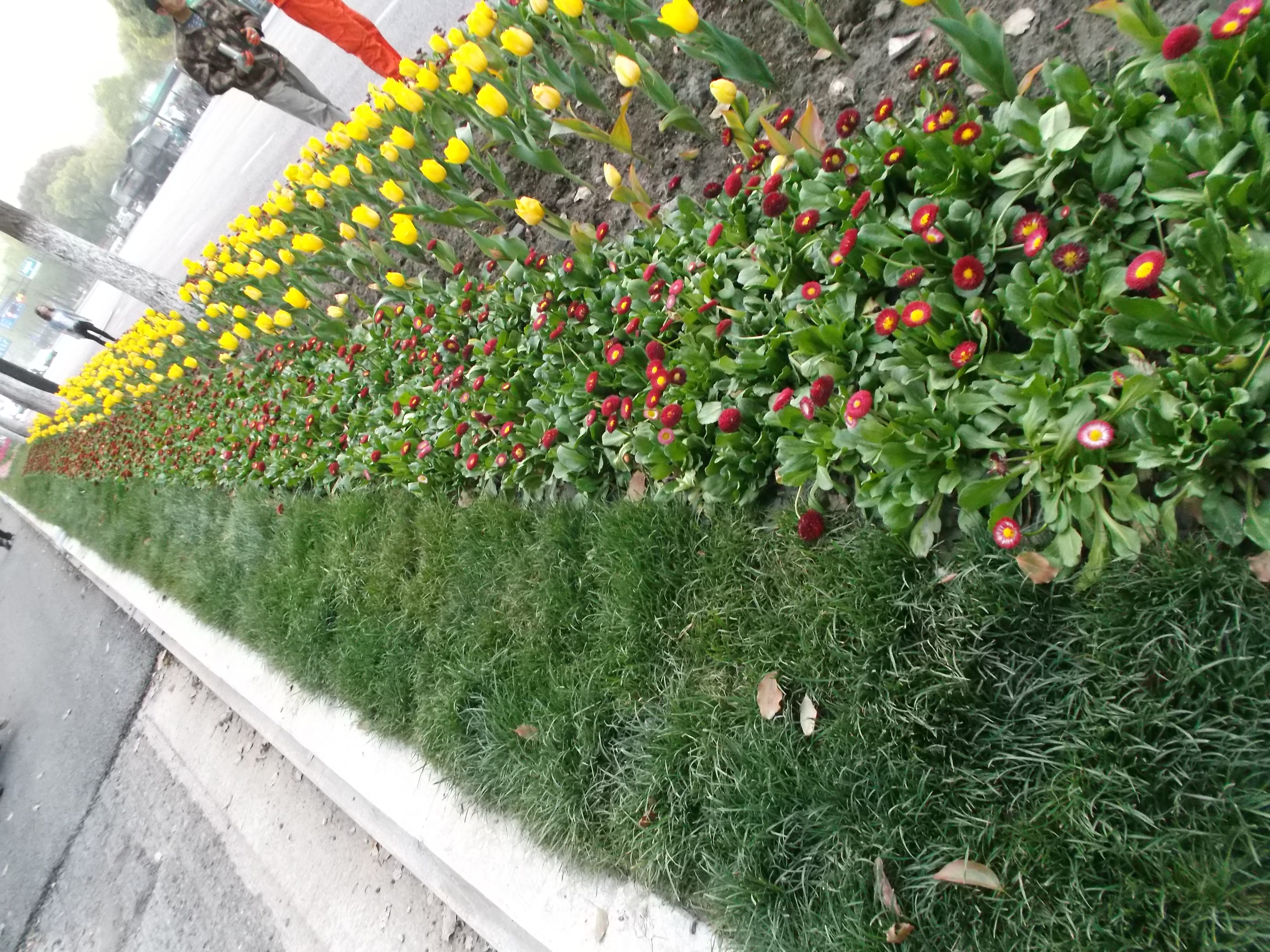 Lijiang