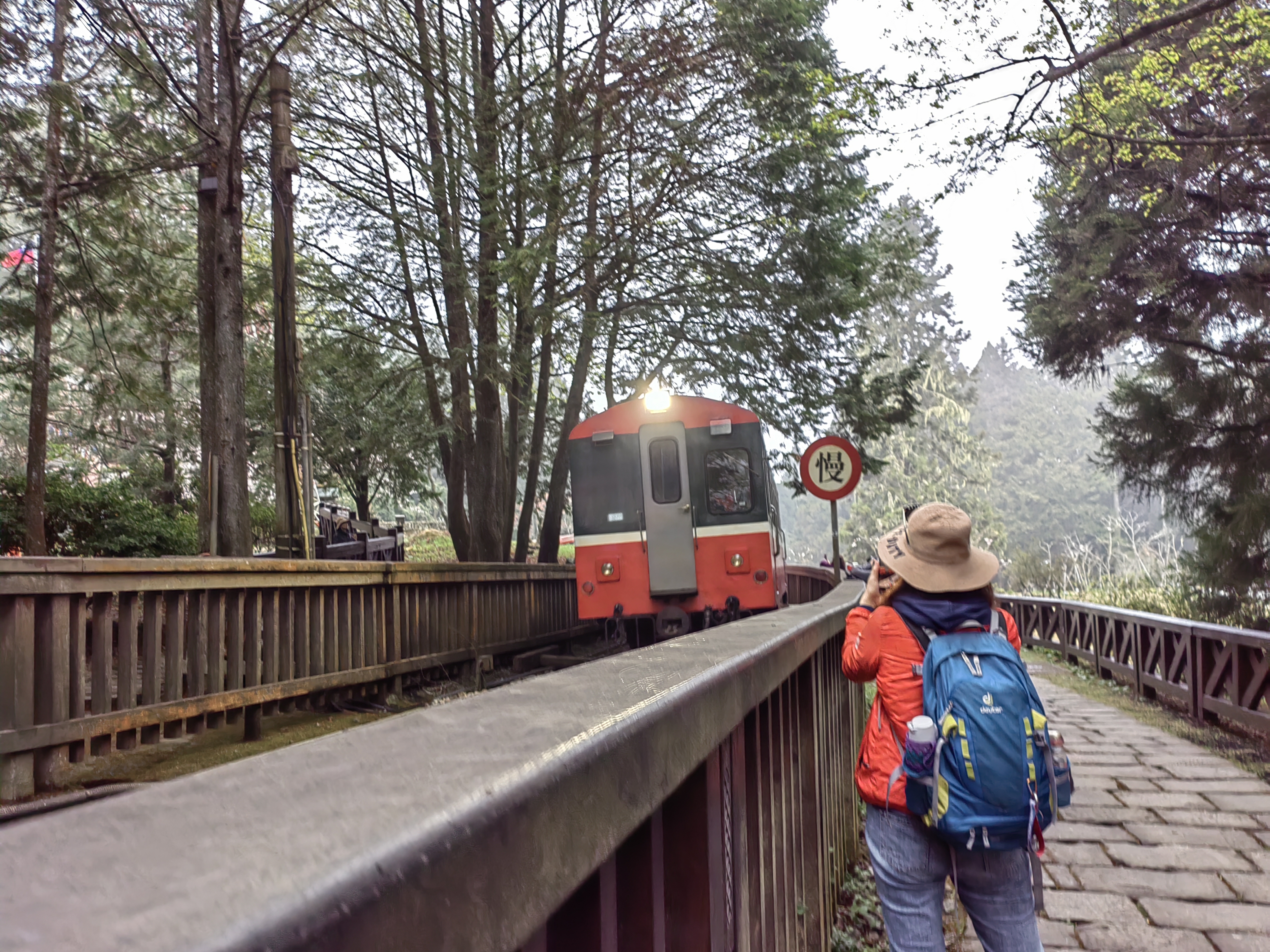Alishan Trains