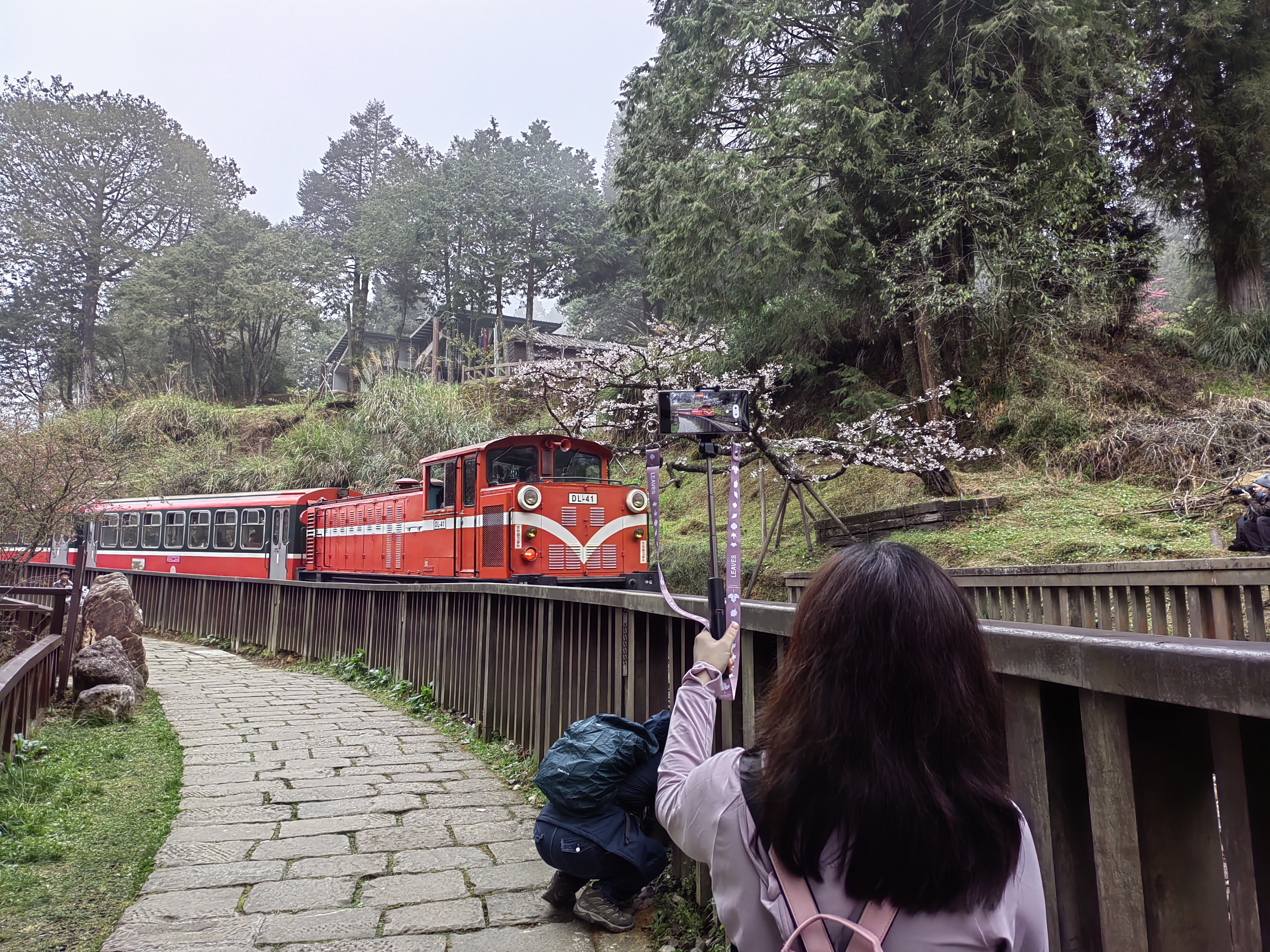 Alishan Trains