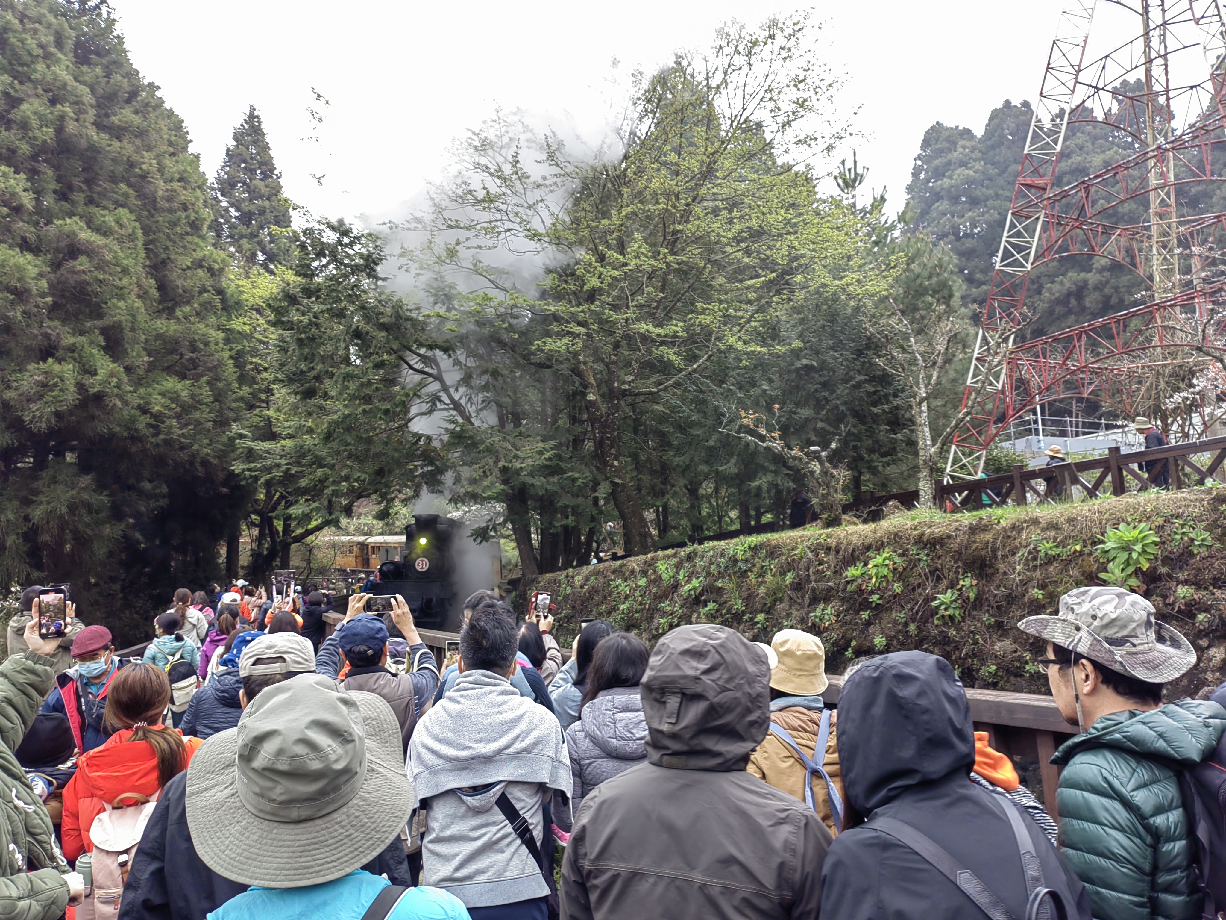Alishan Trains