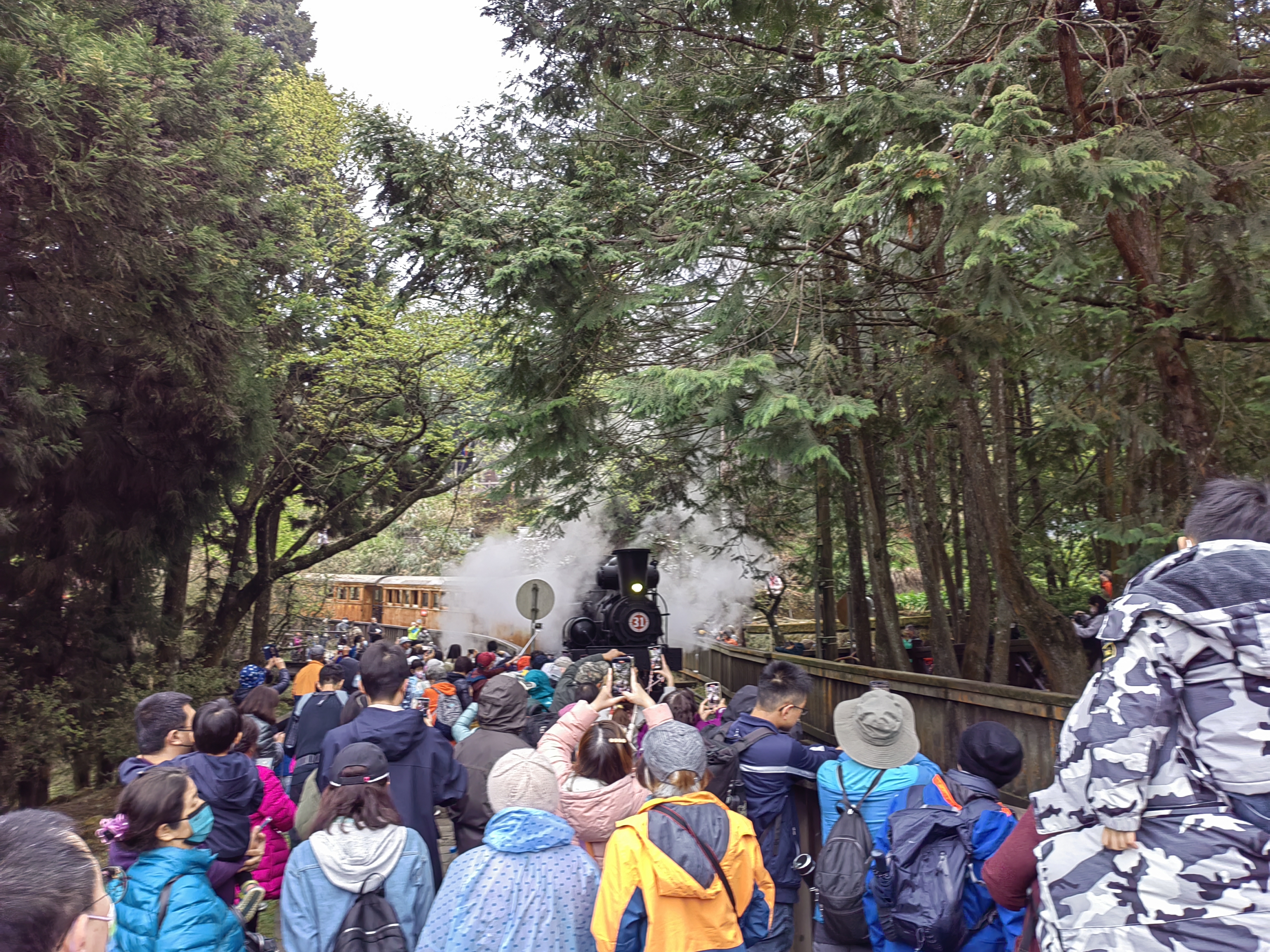 Alishan Trains