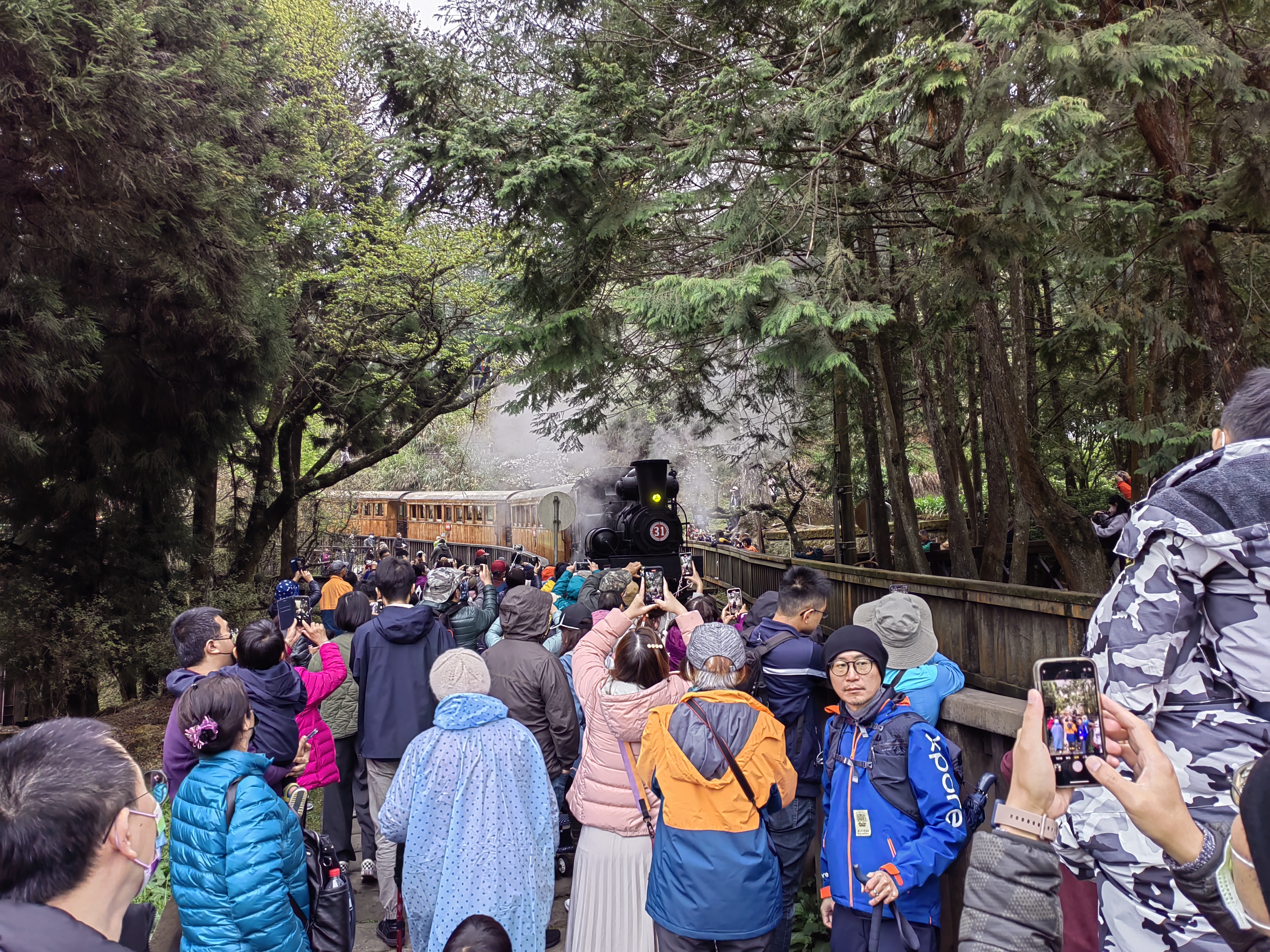 Alishan Trains