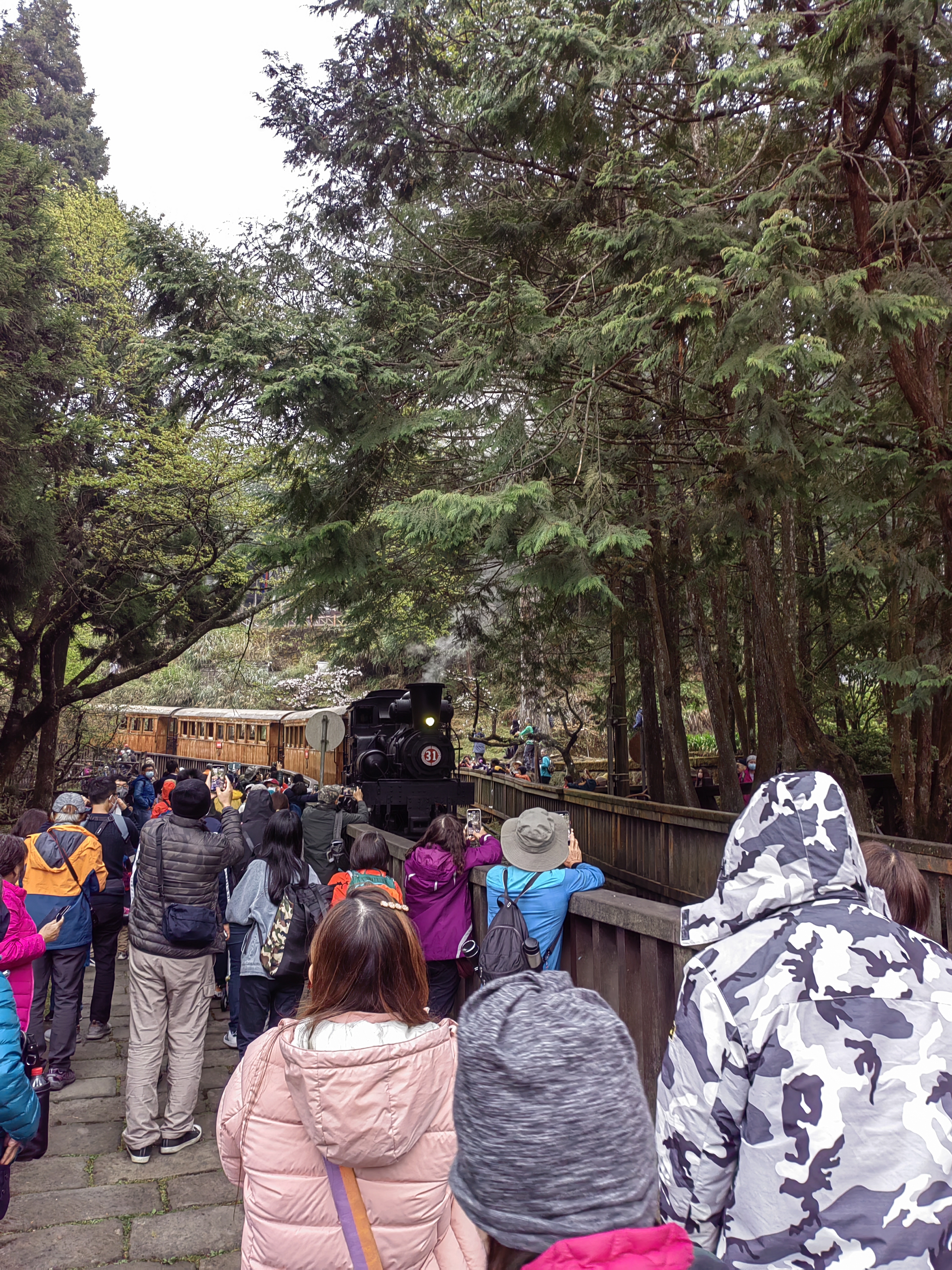Alishan Trains