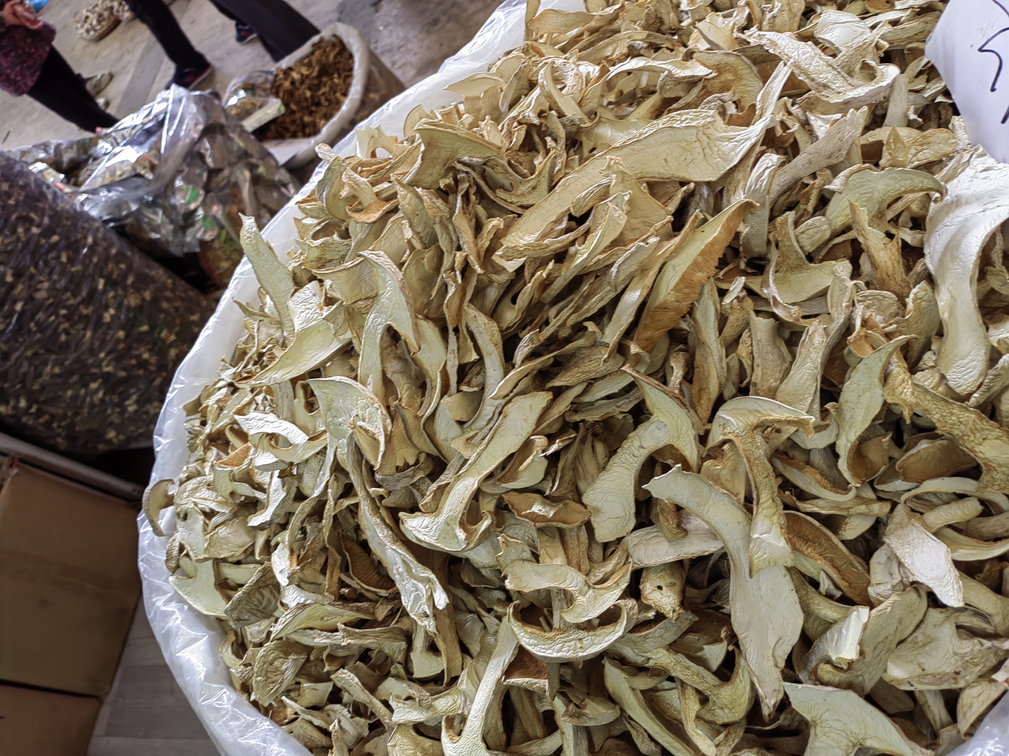 wild mushroom