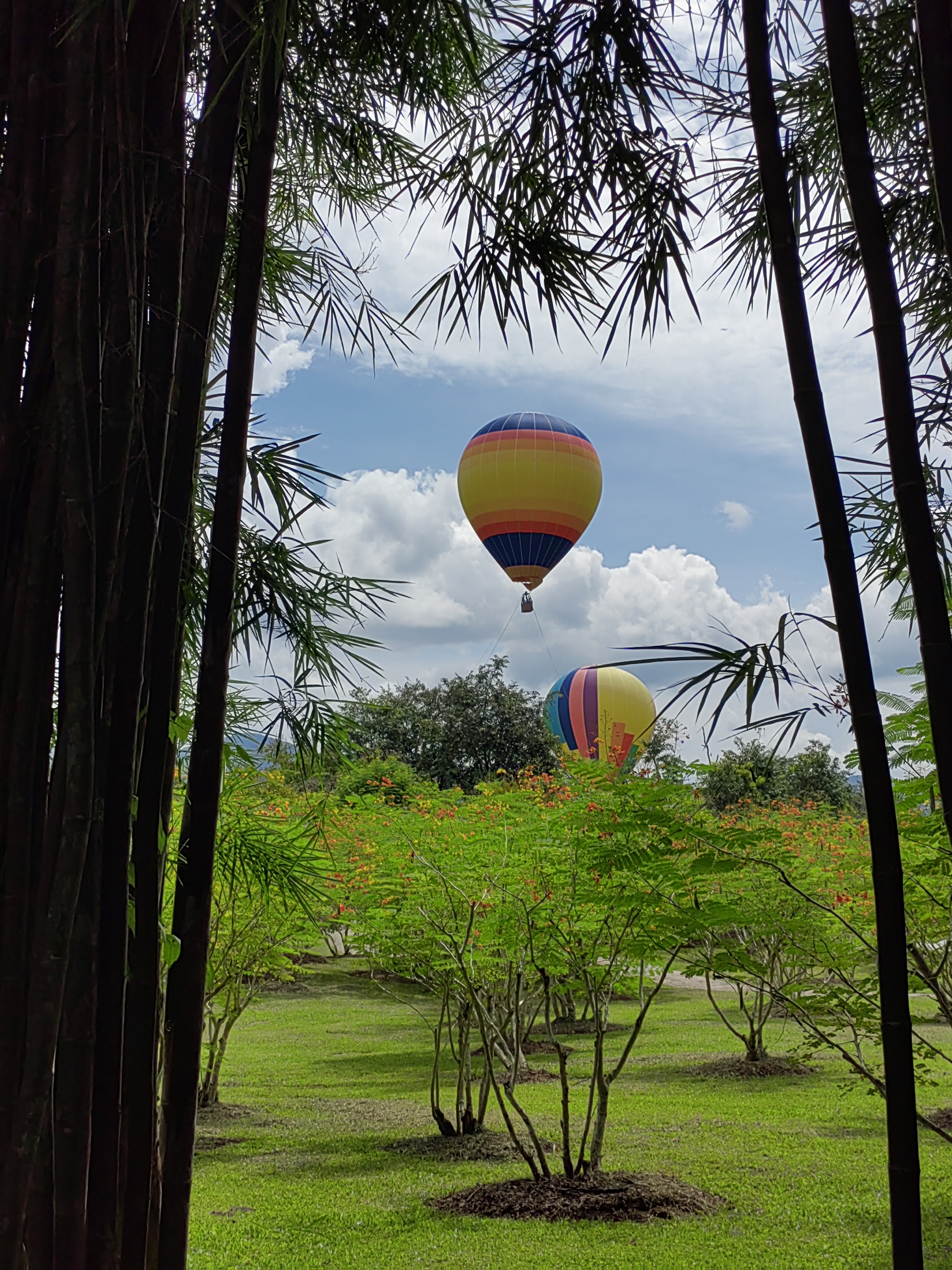 Xishuangbanna