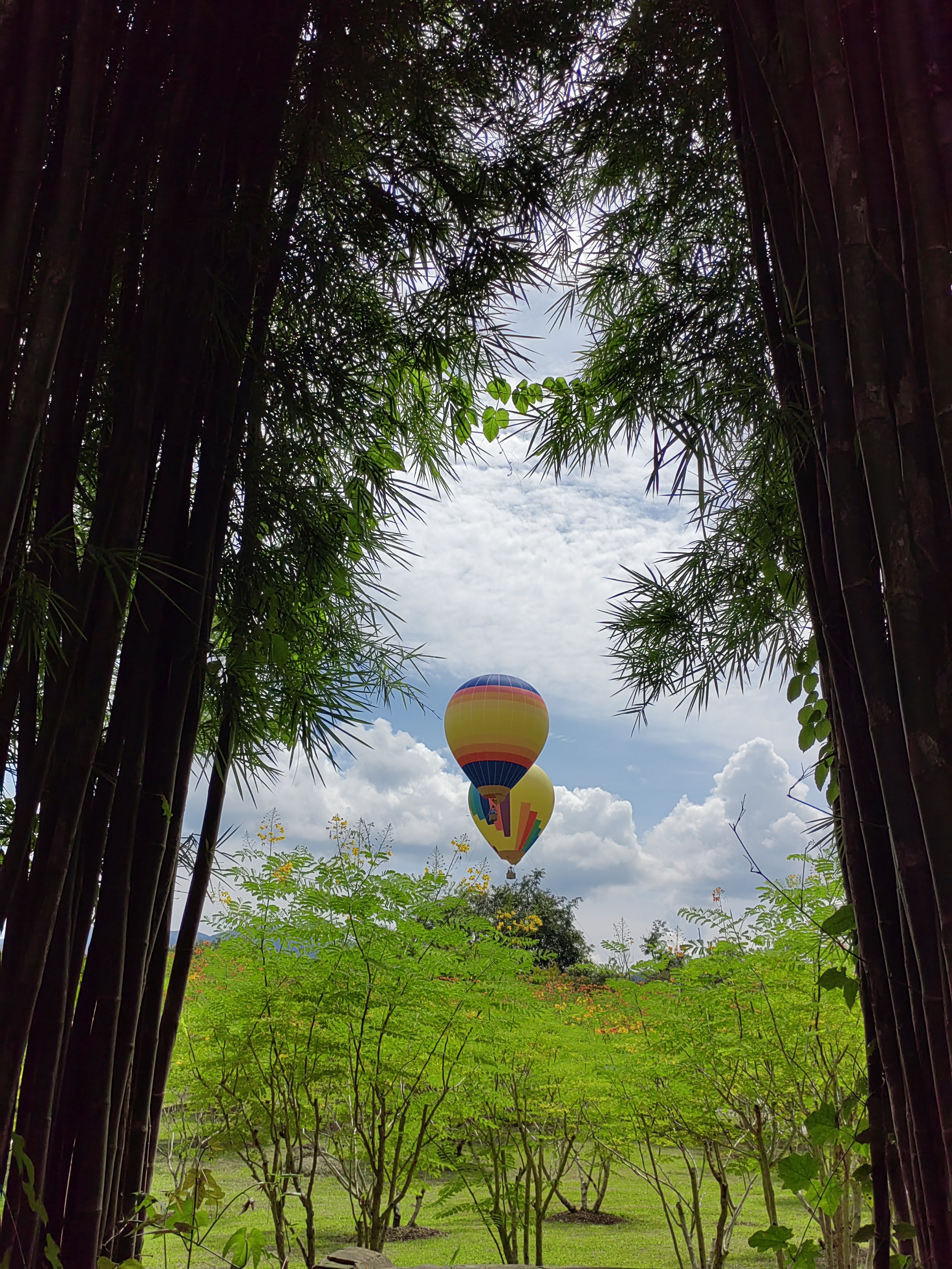 Xishuangbanna