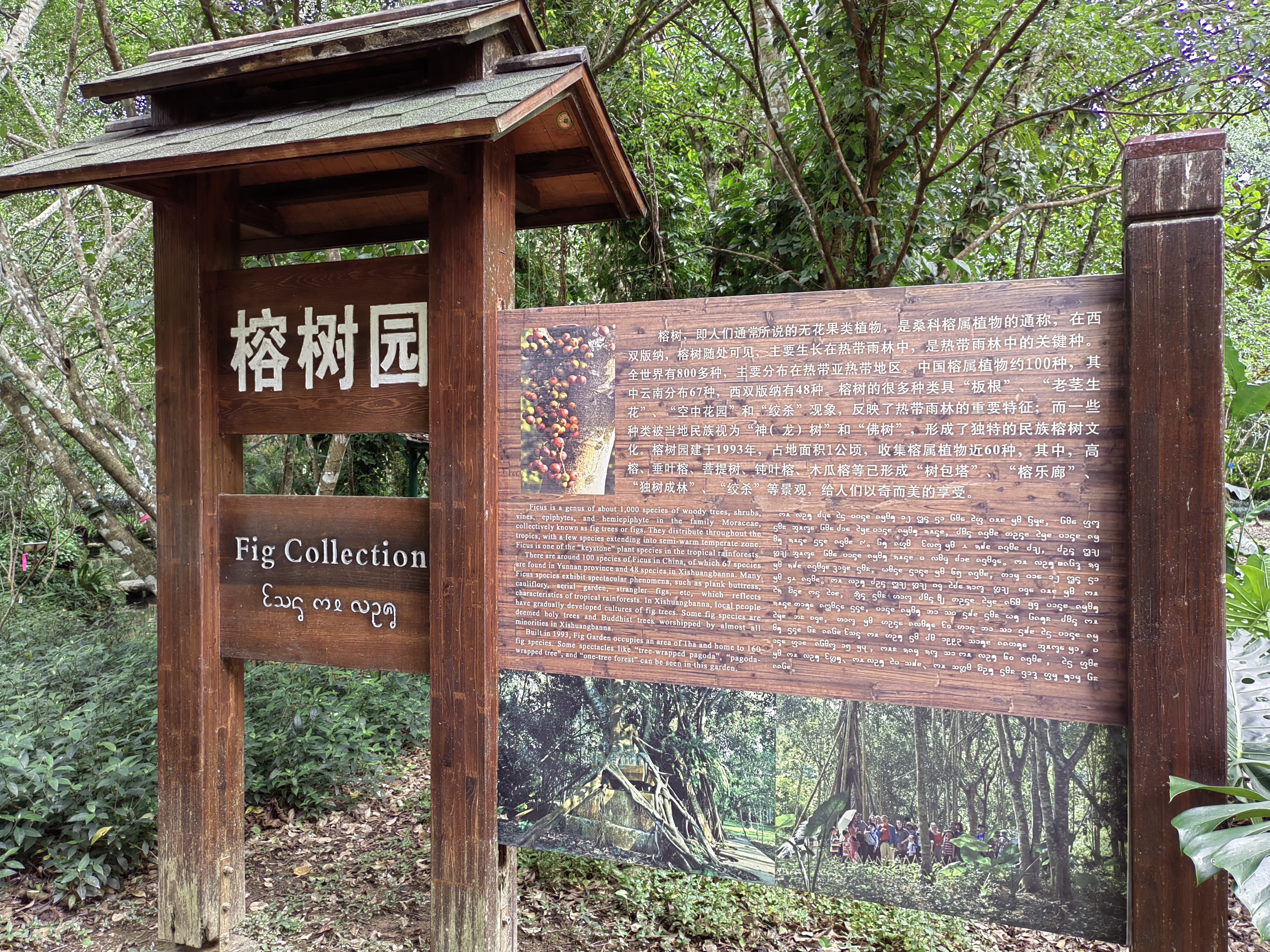 Xishuangbanna