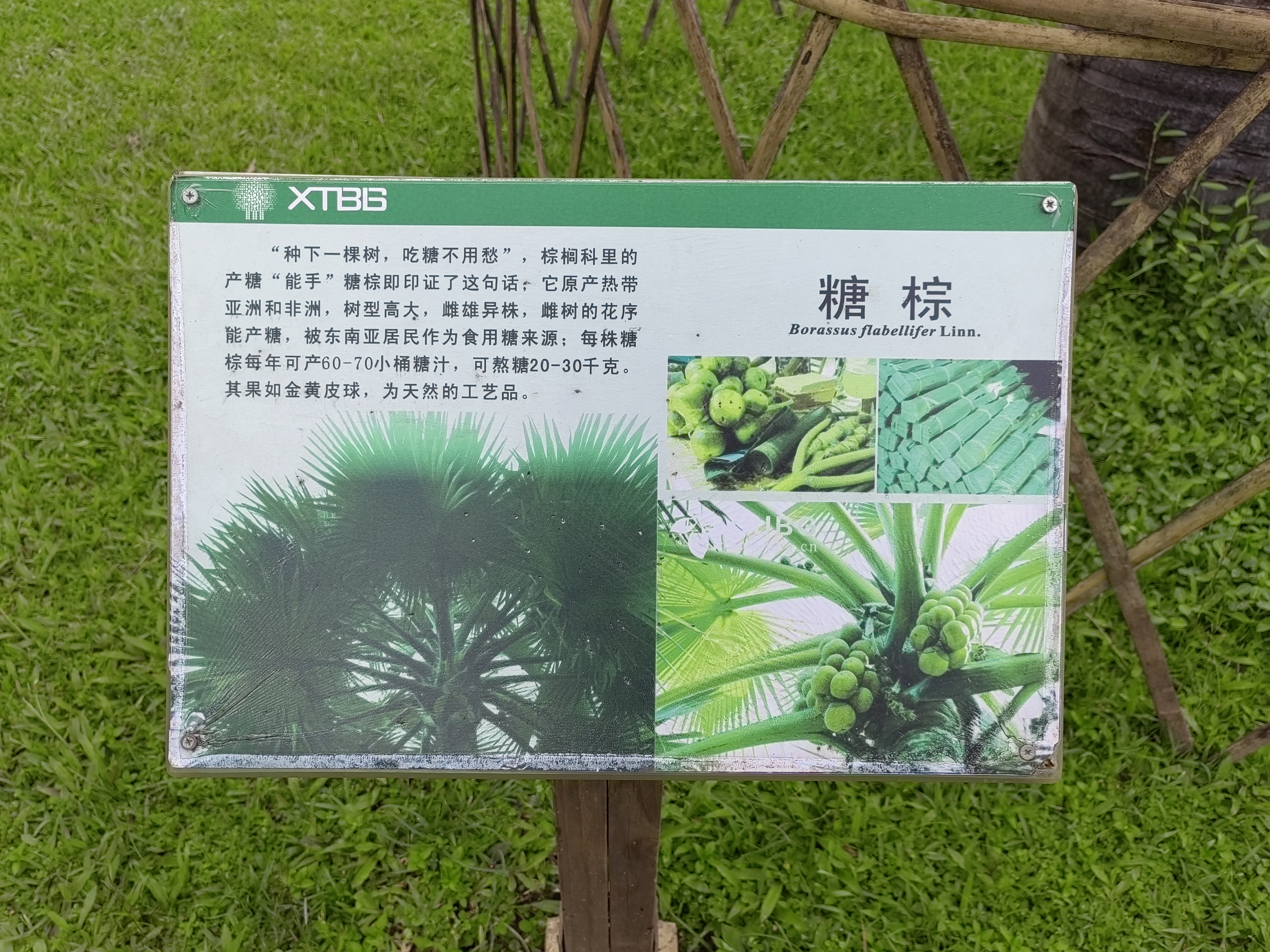 Xishuangbanna
