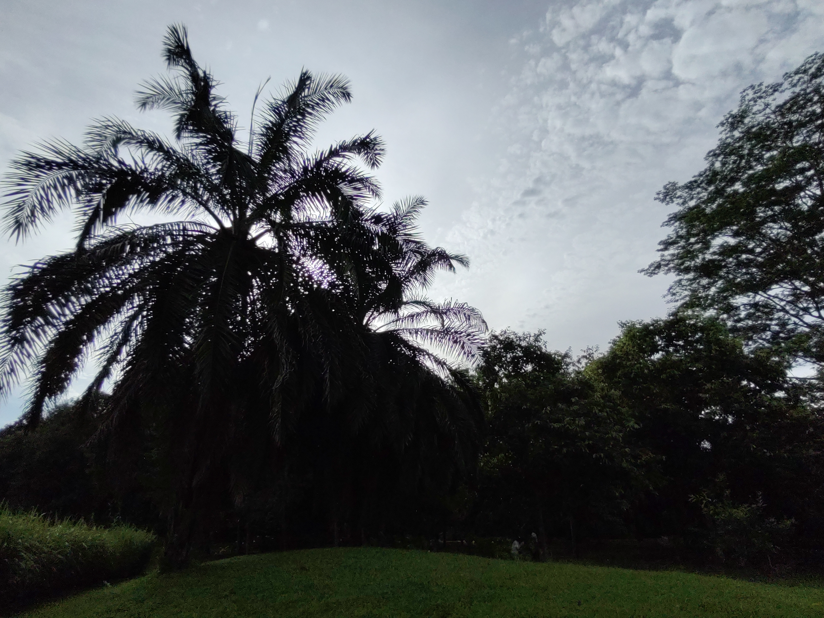 Xishuangbanna