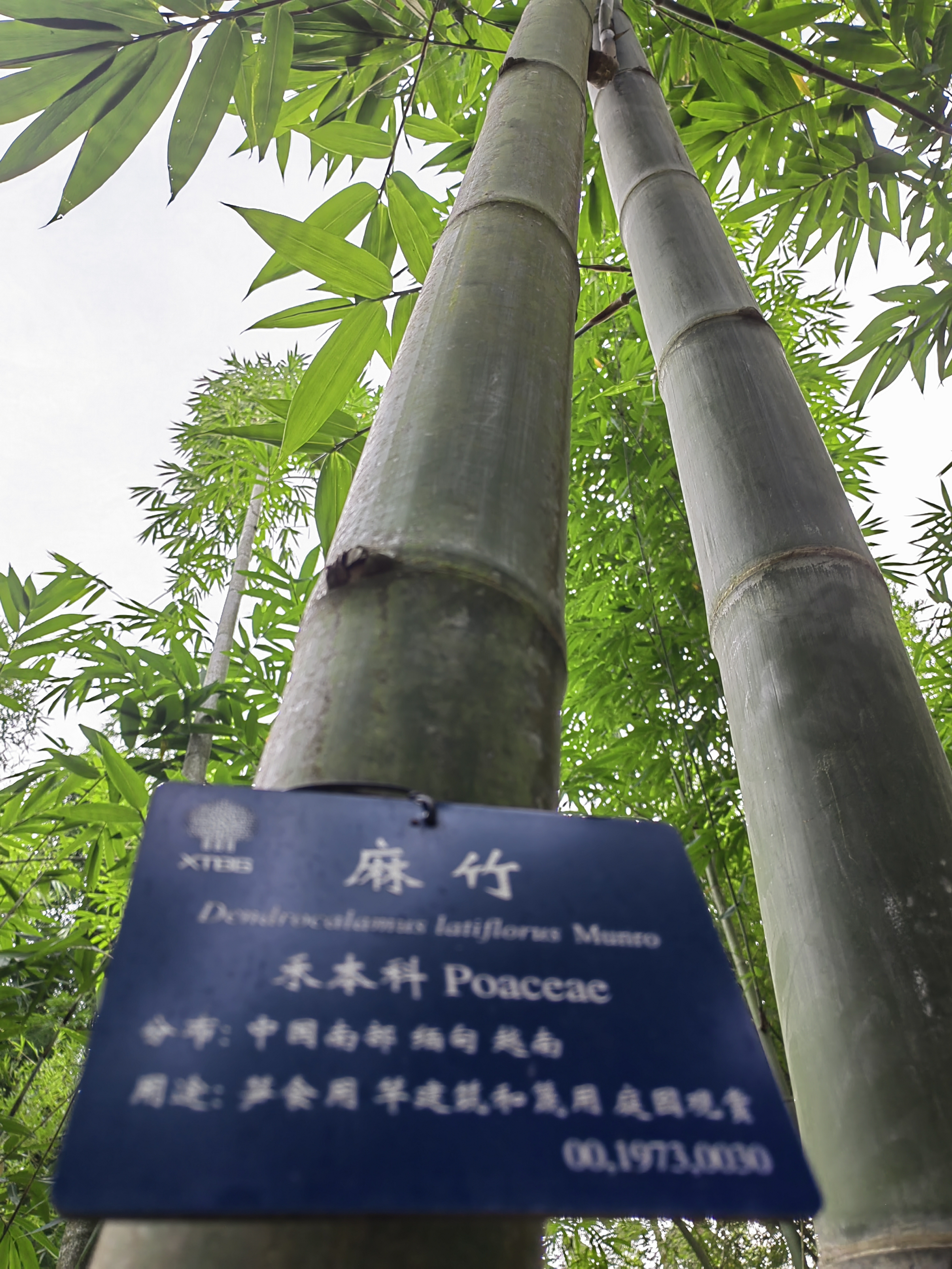 Xishuangbanna