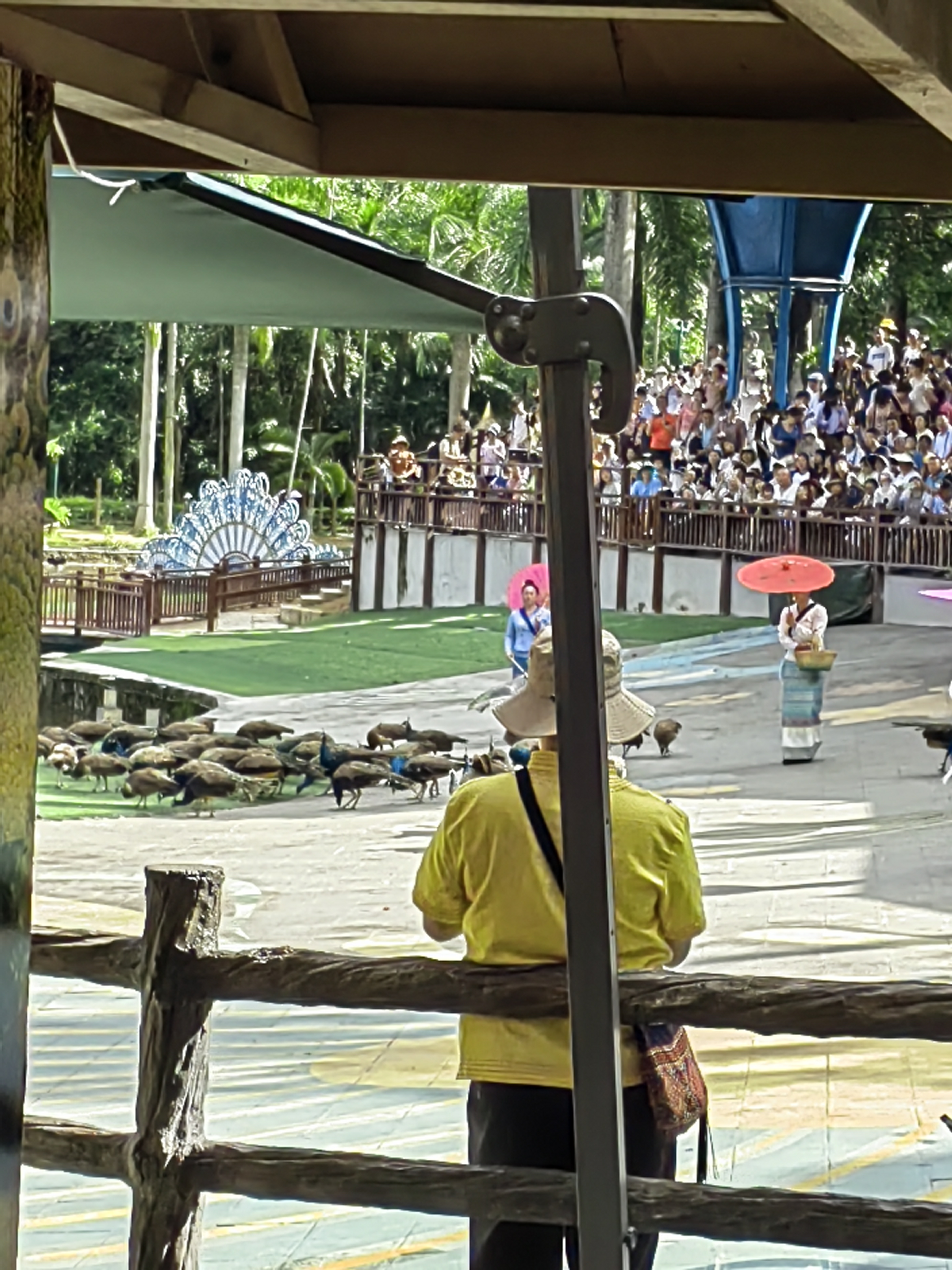 Xishuangbanna