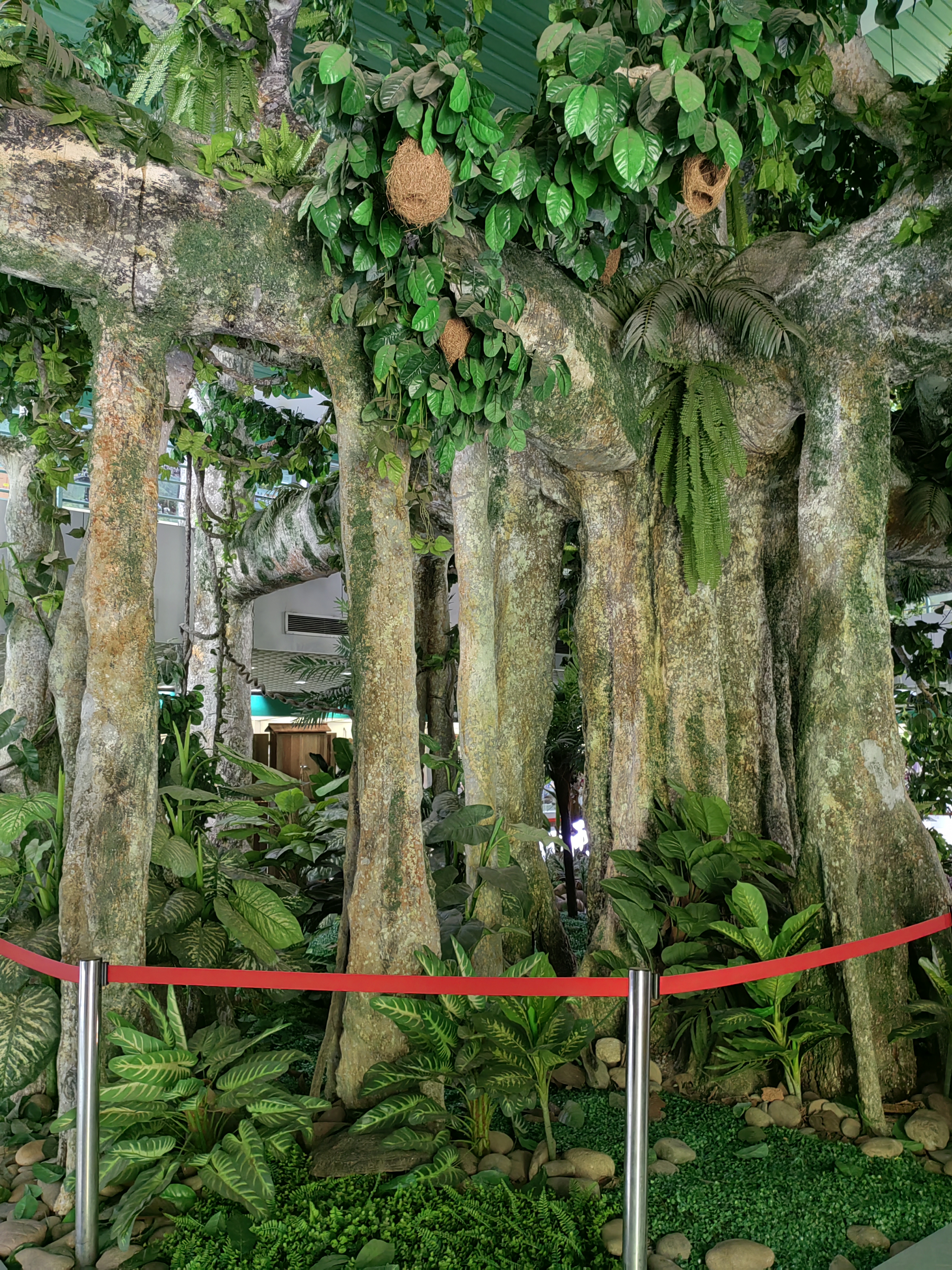 Tropical Rainforest Museum
