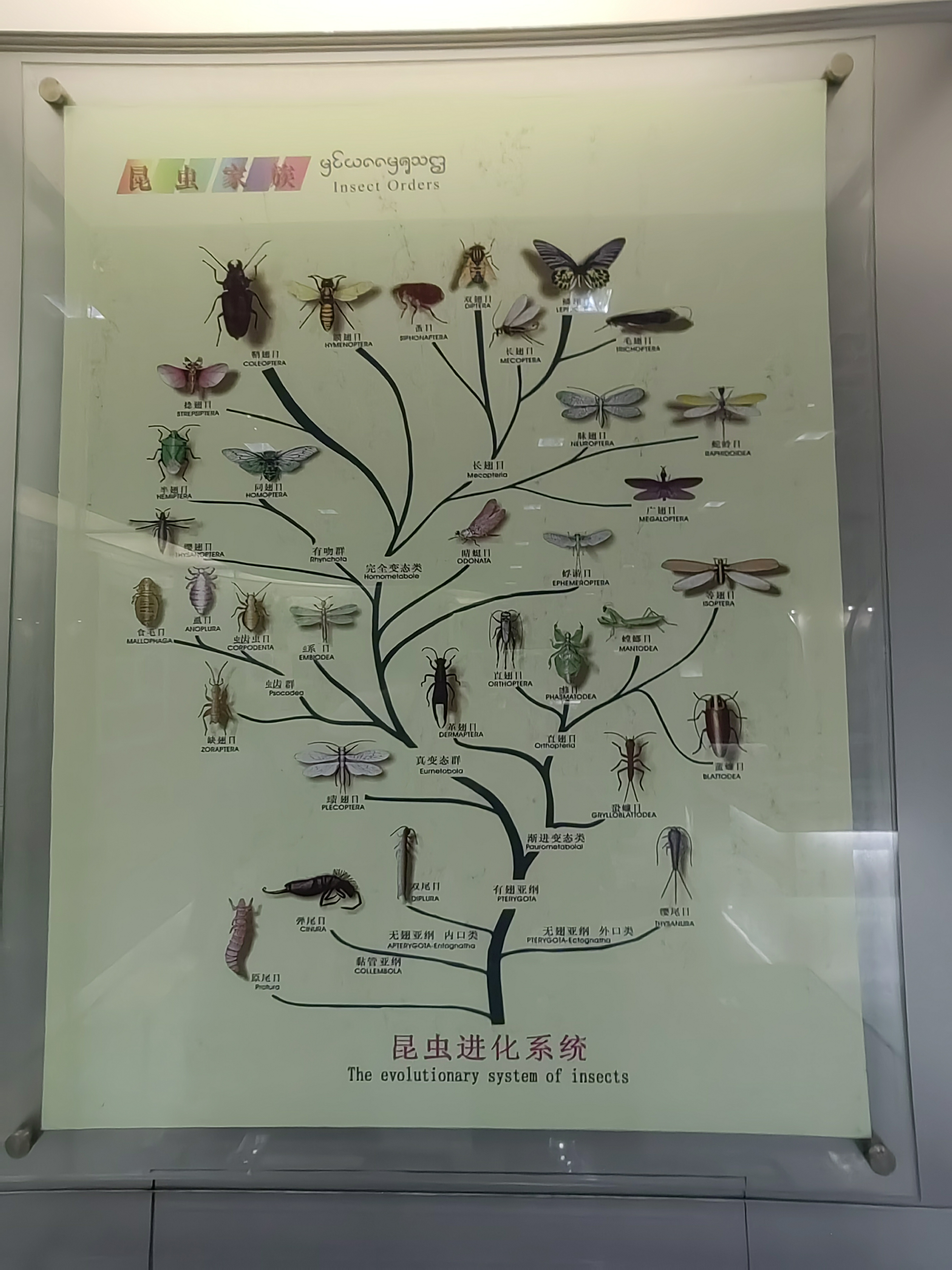 Tropical Rainforest Museum