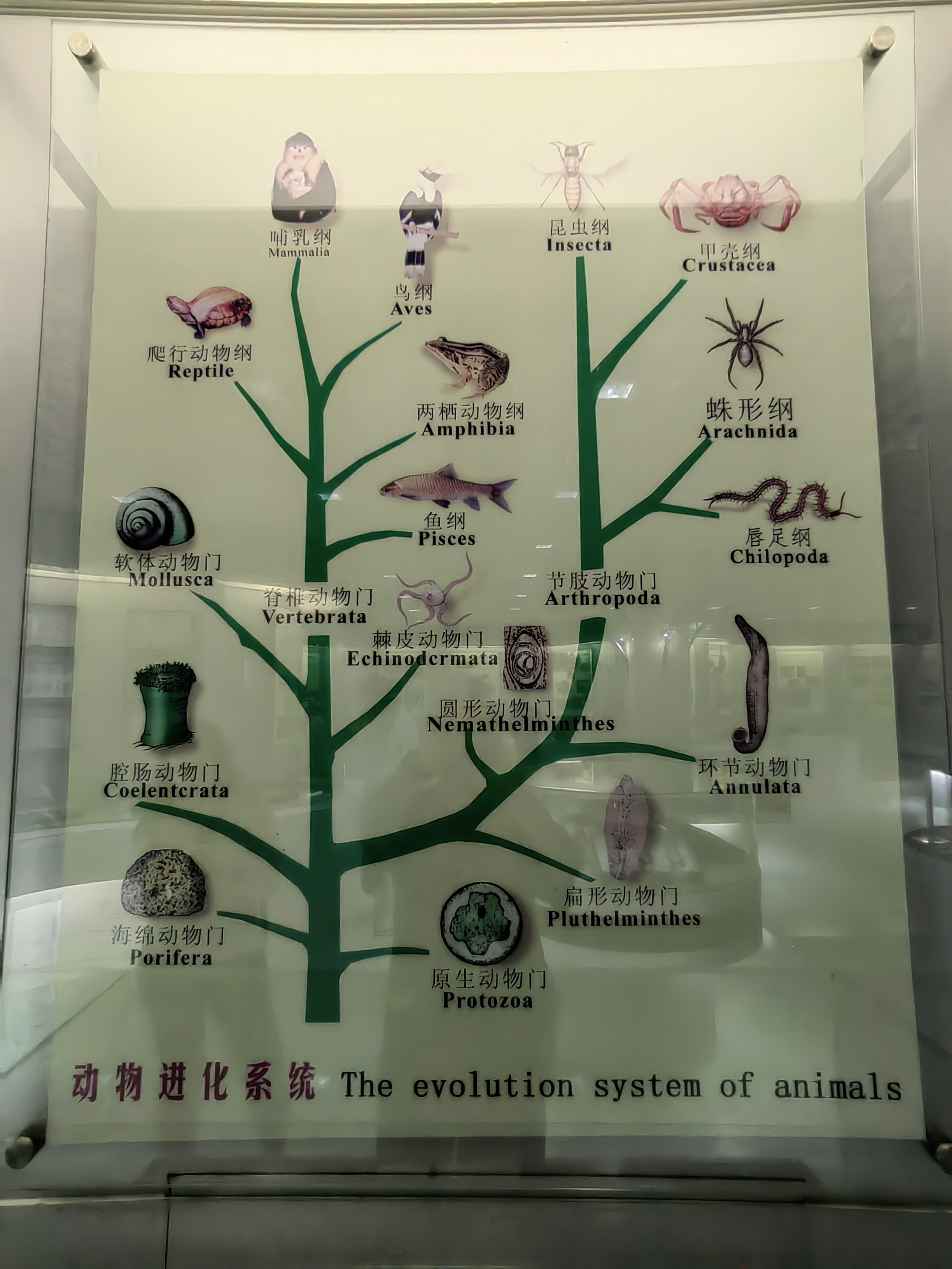 Tropical Rainforest Museum