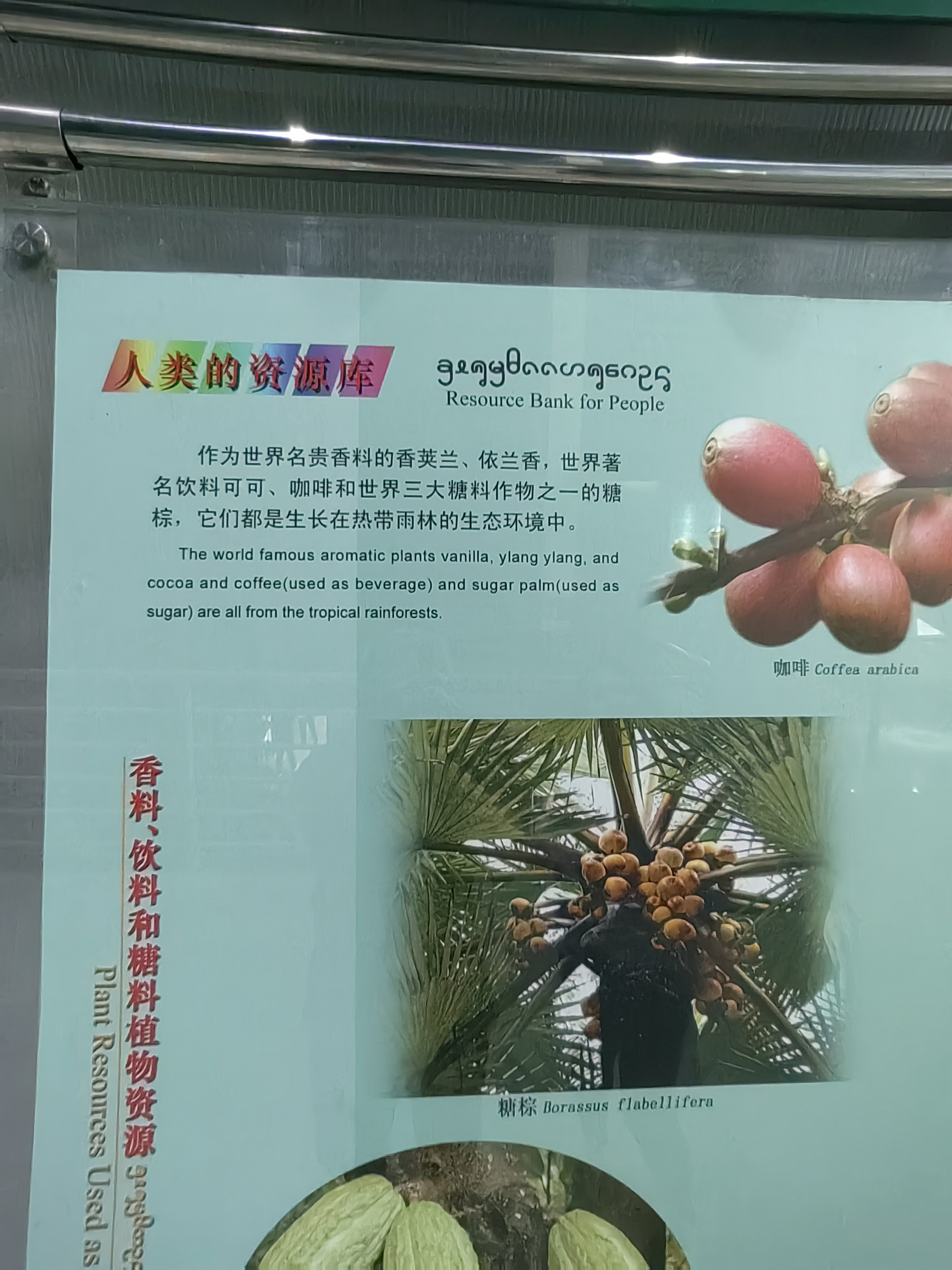 Tropical Rainforest Museum