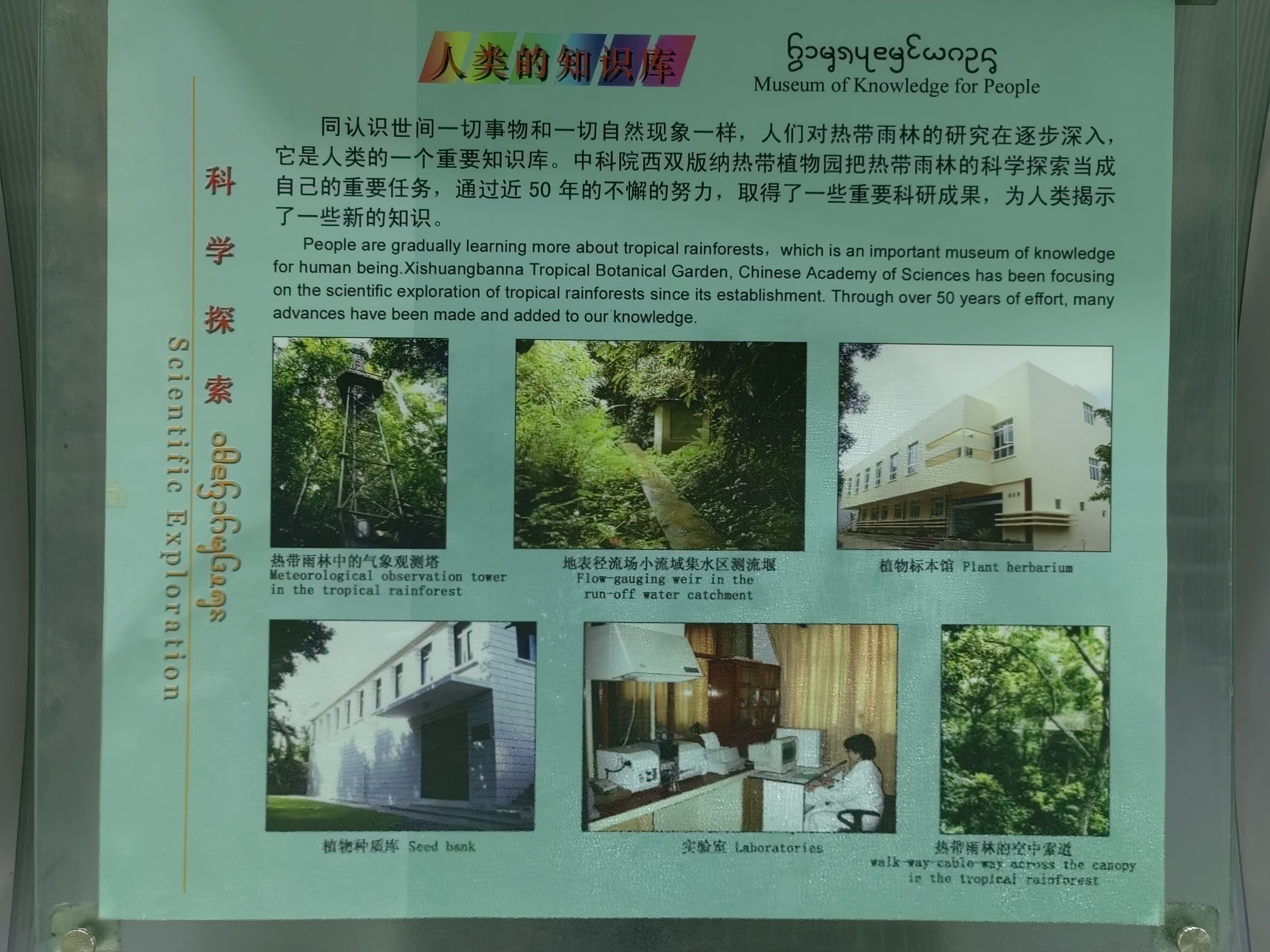 Tropical Rainforest Museum