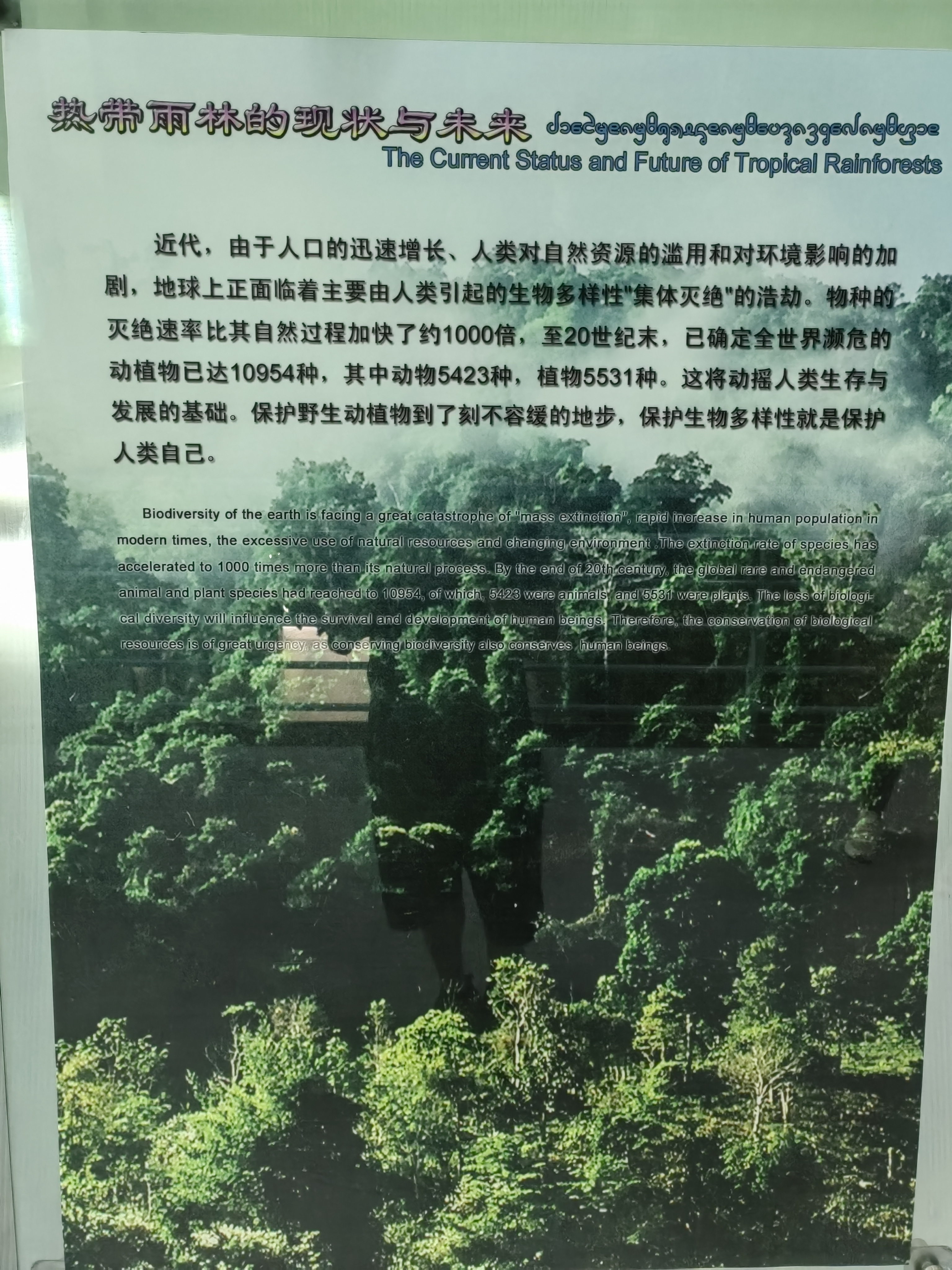 Tropical Rainforest Museum
