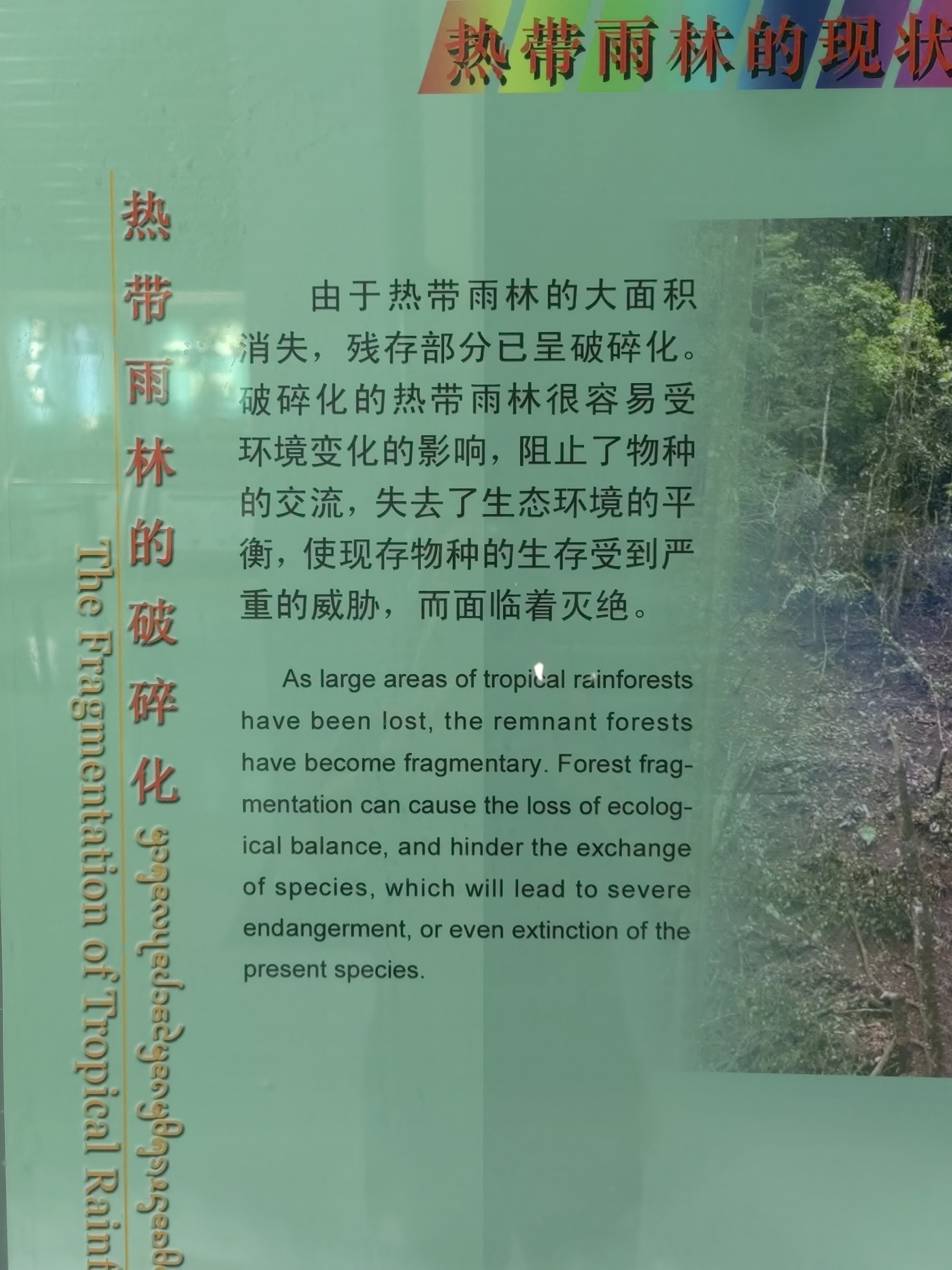 Tropical Rainforest Museum