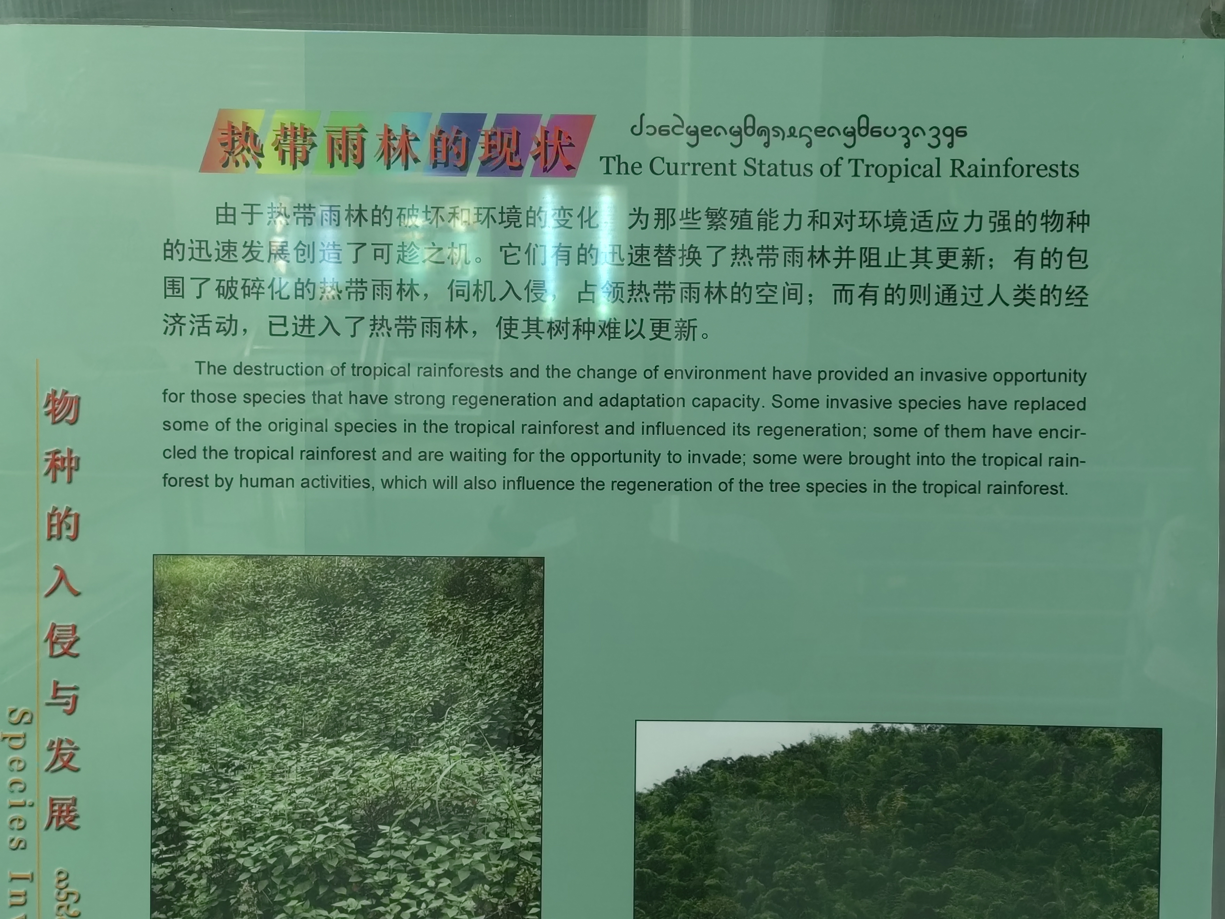 Tropical Rainforest Museum