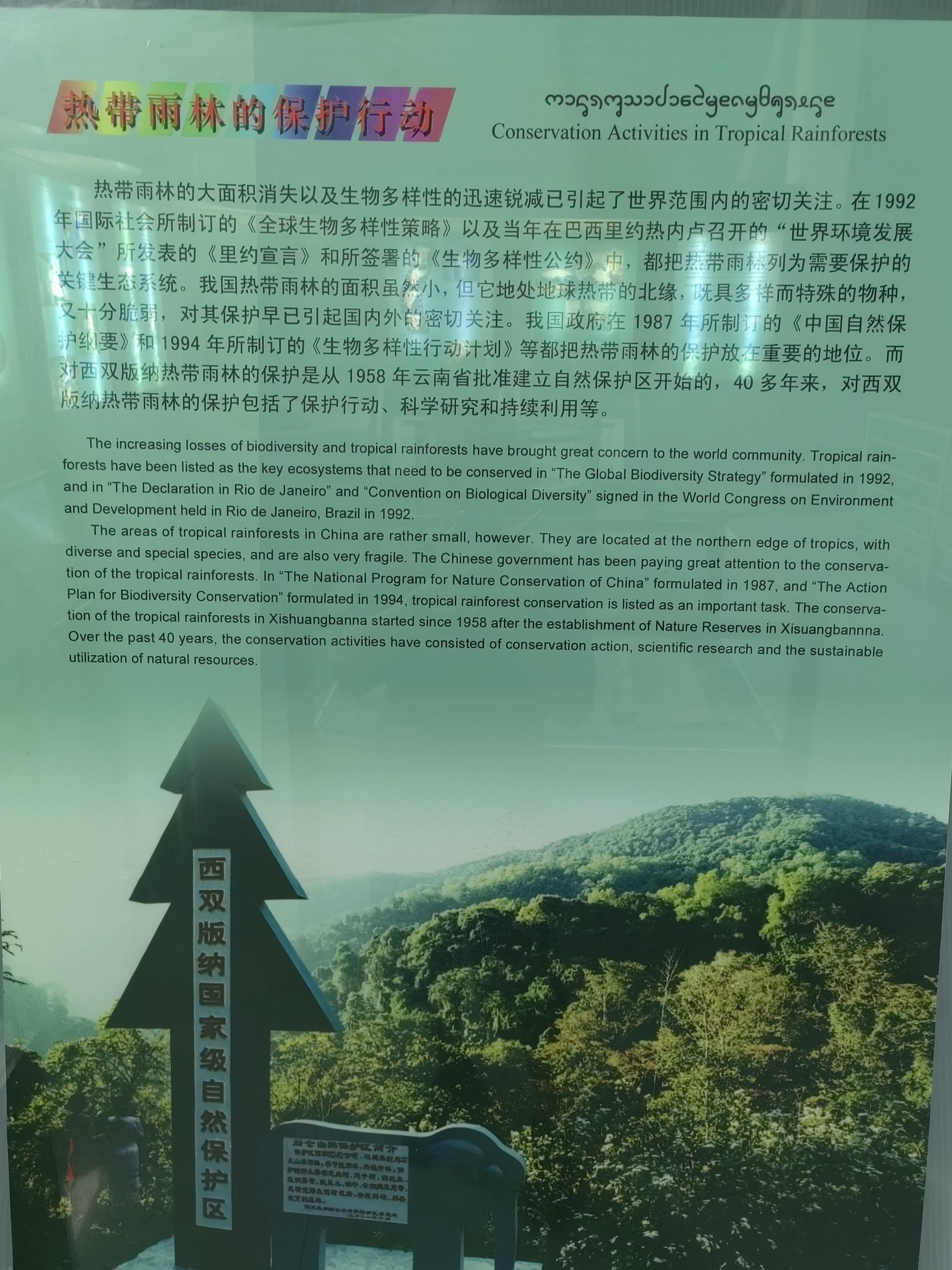 Tropical Rainforest Museum
