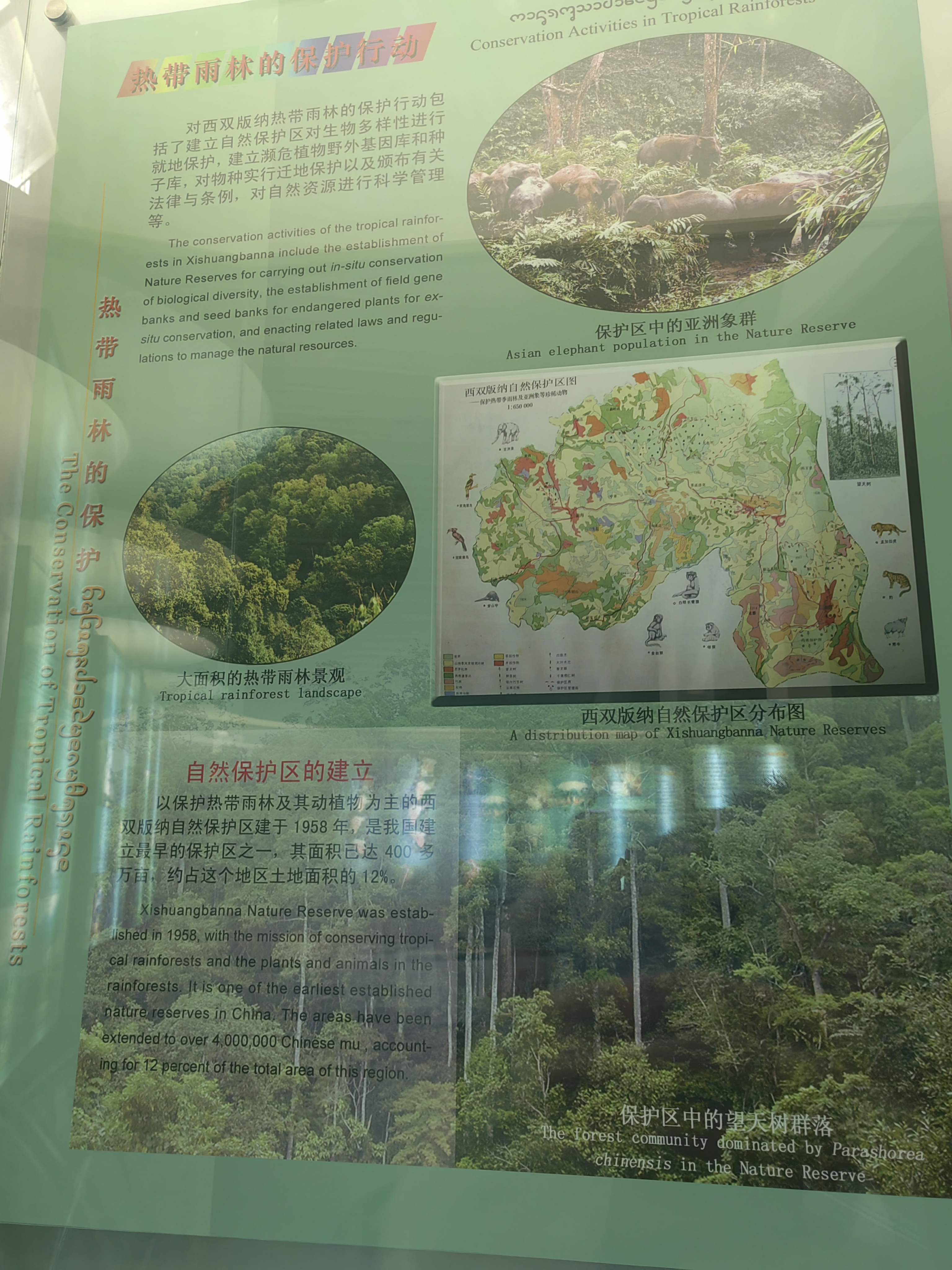 Tropical Rainforest Museum