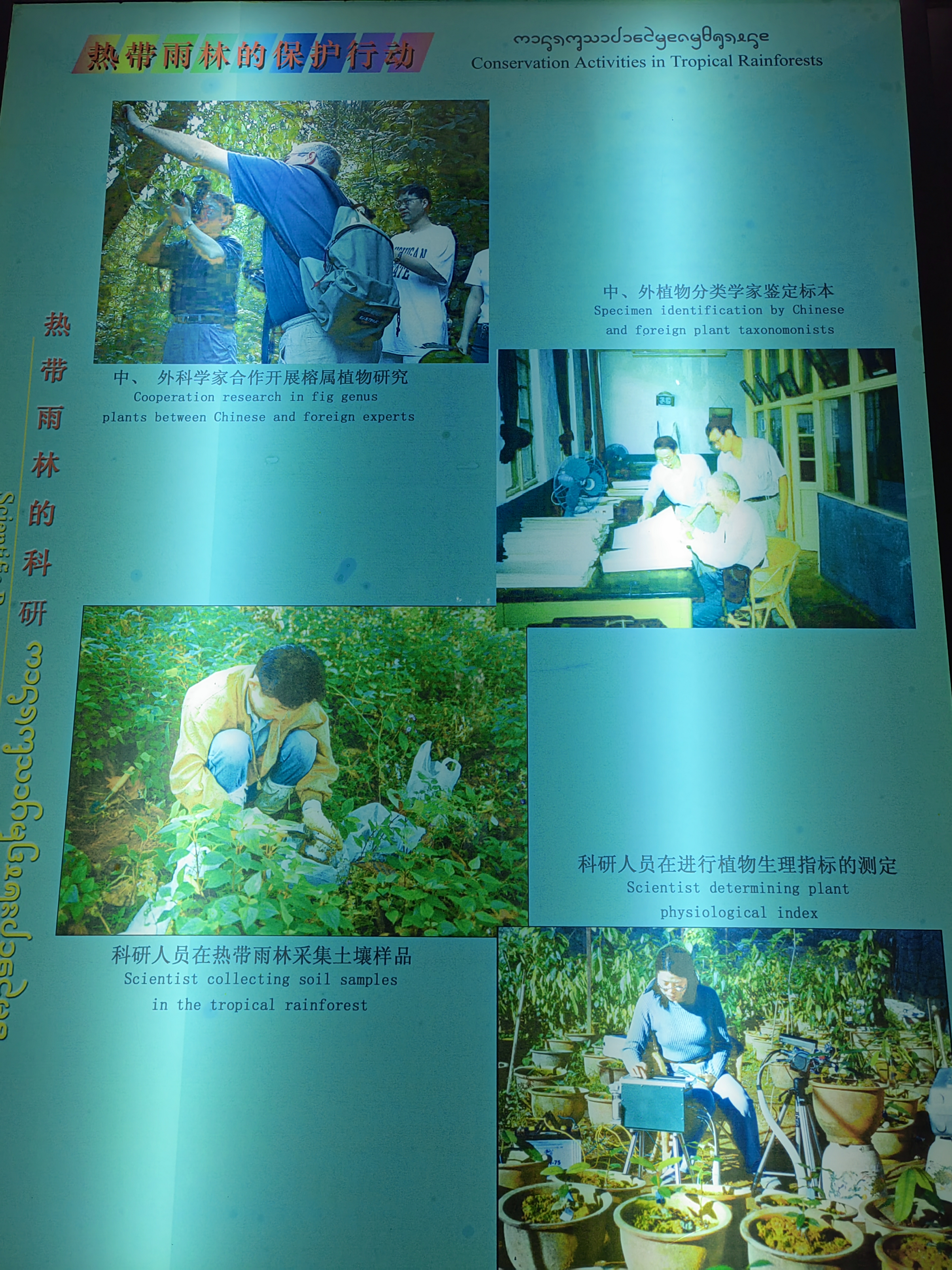 Tropical Rainforest Museum