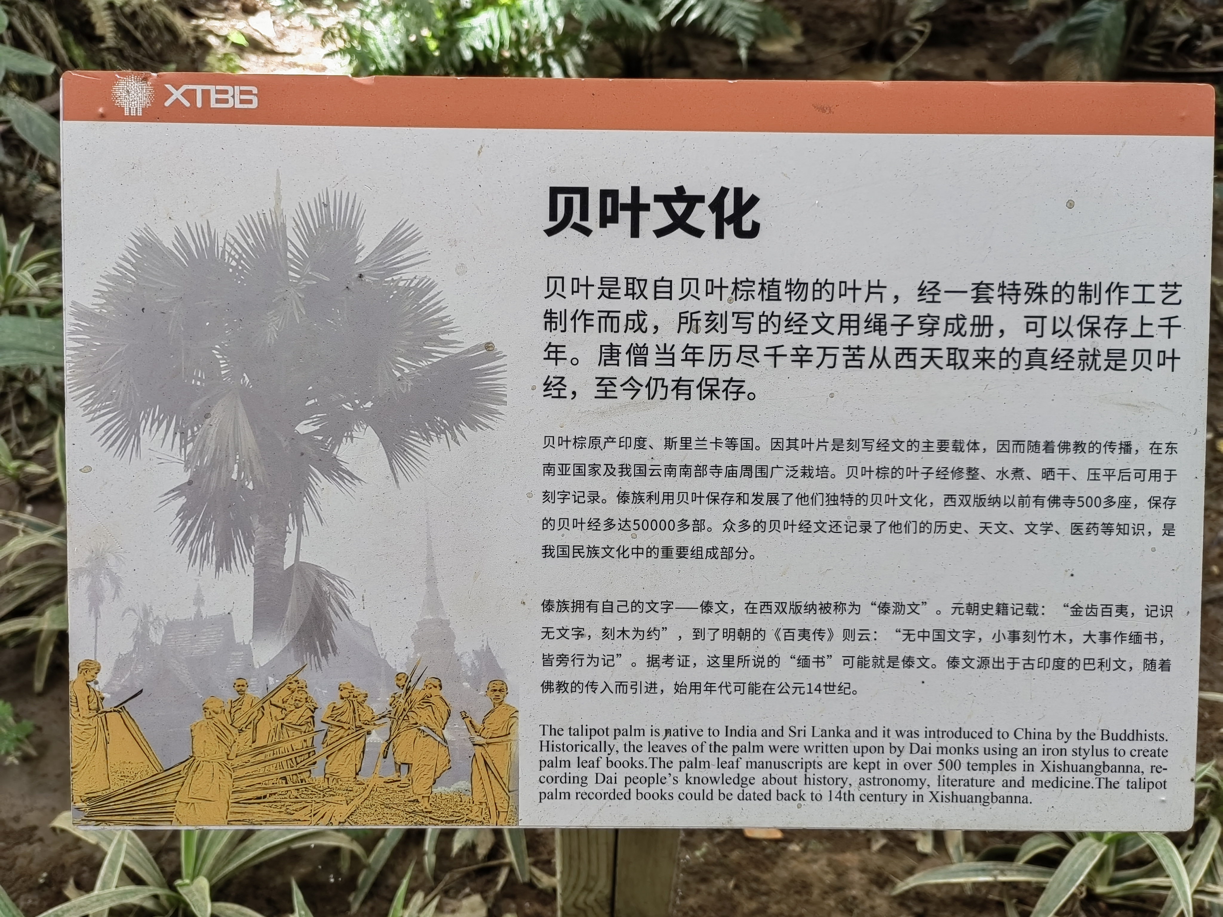 Tropical Rainforest Museum