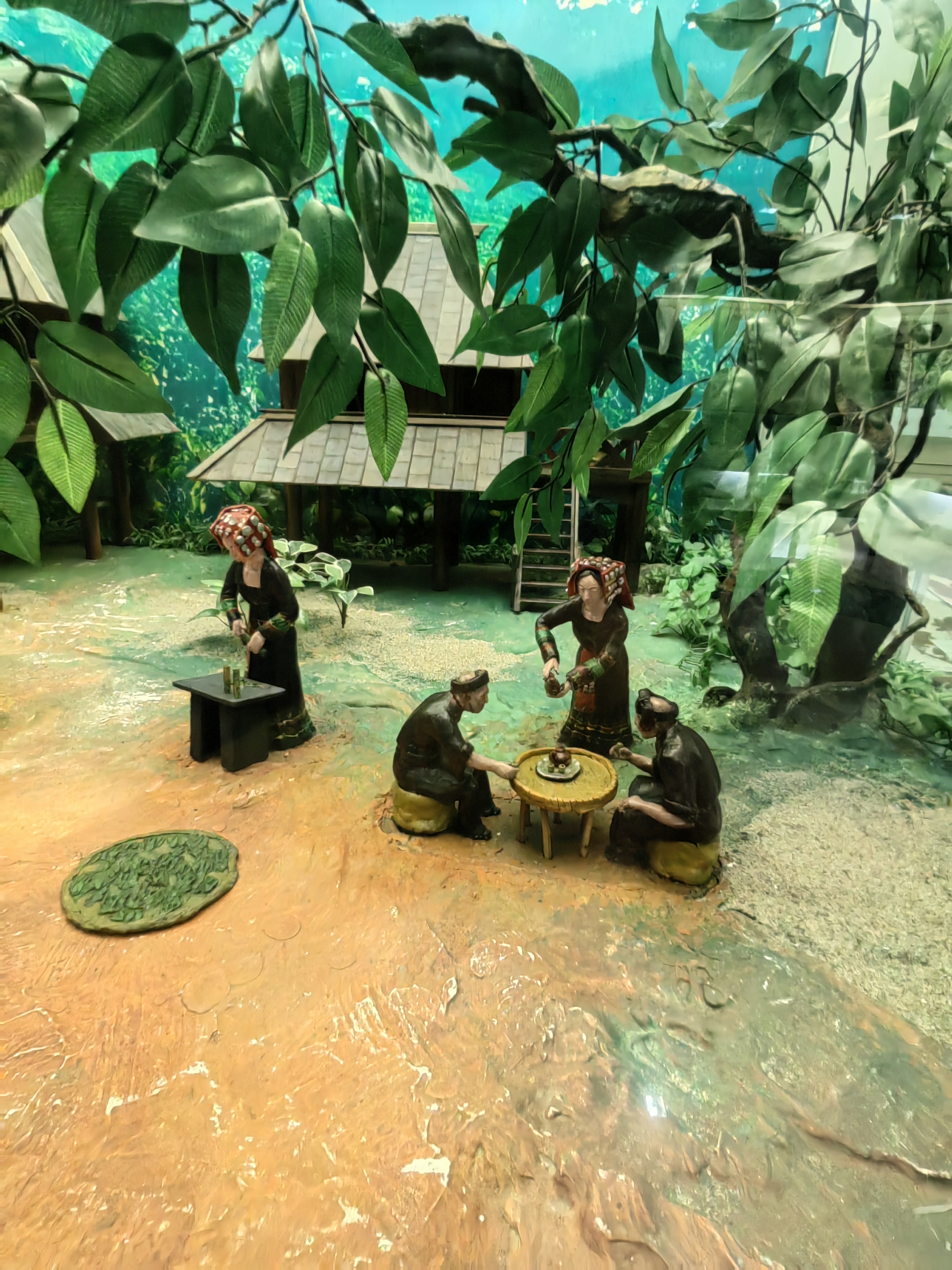 Tropical Rainforest Museum