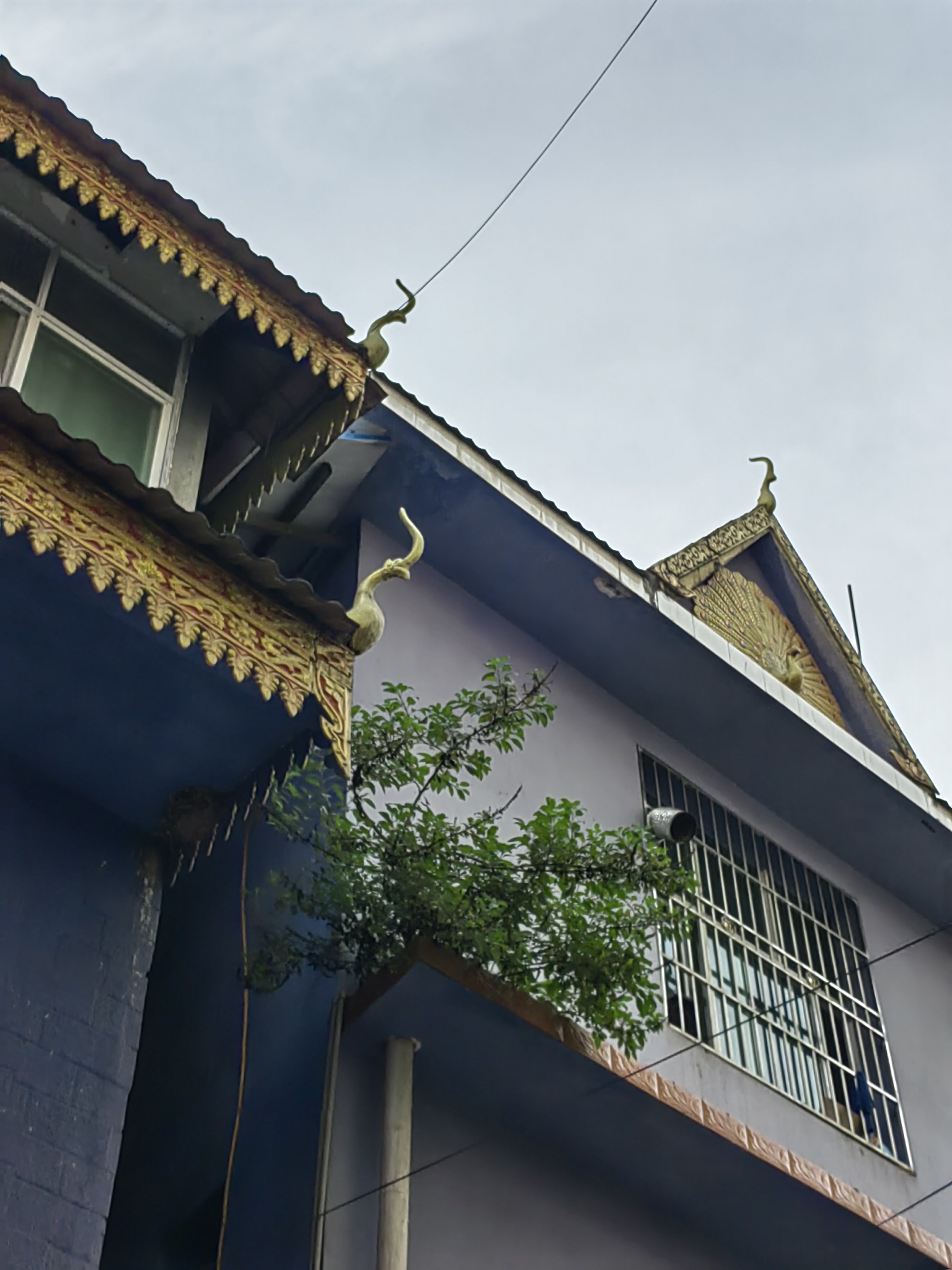 Xishuangbanna