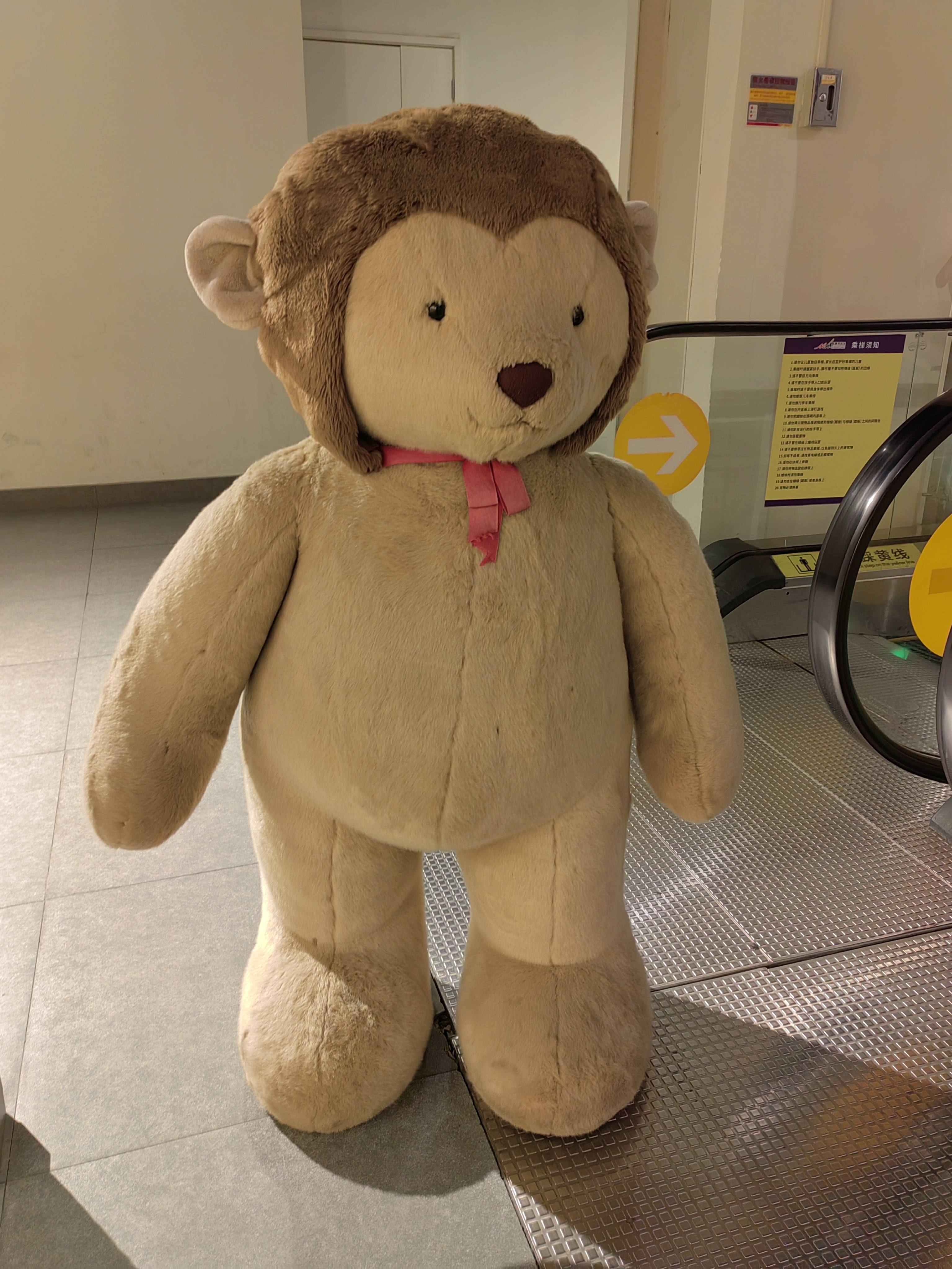 Teddy Bear Museum