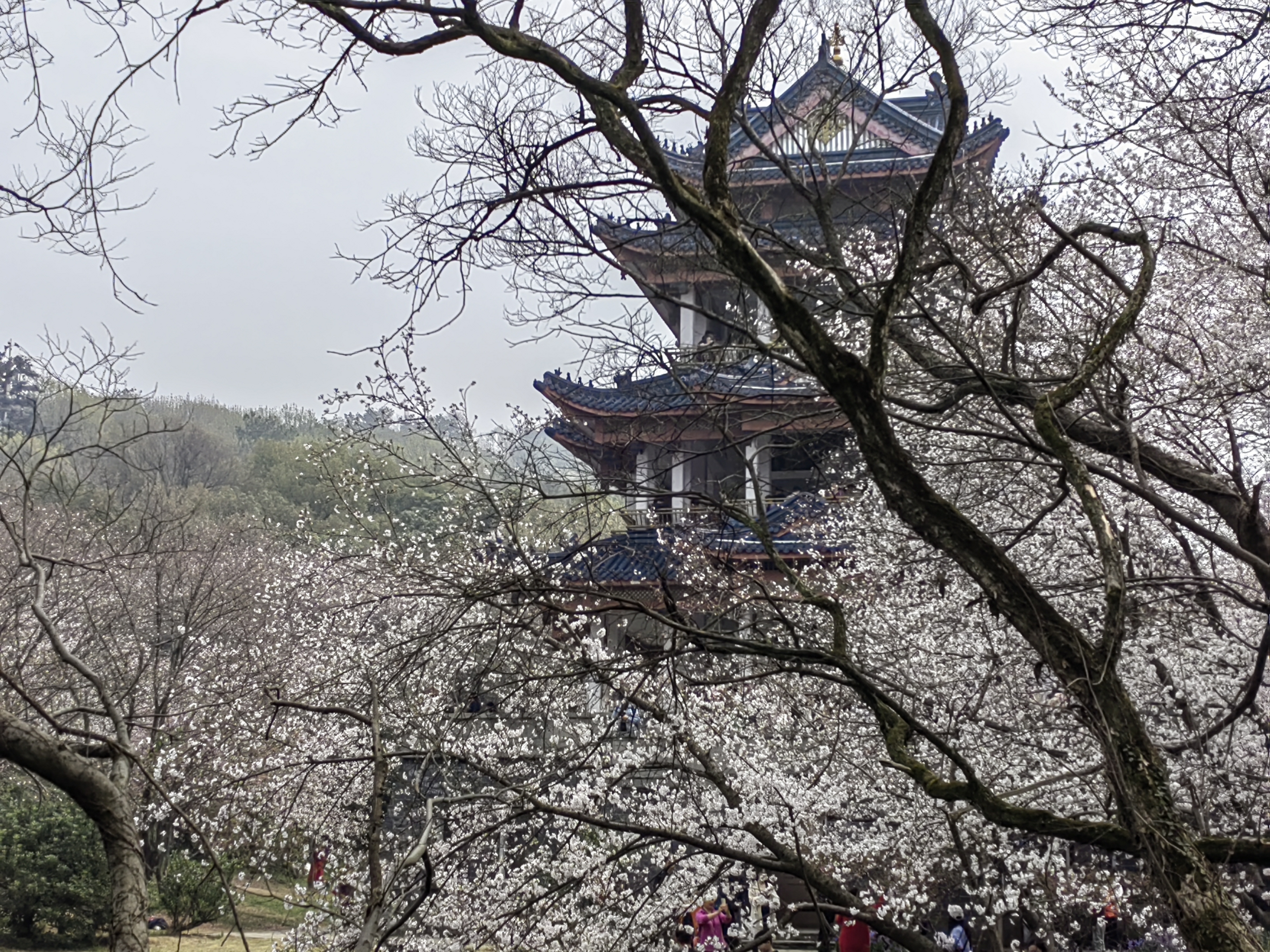 Kaohsiung Stataion