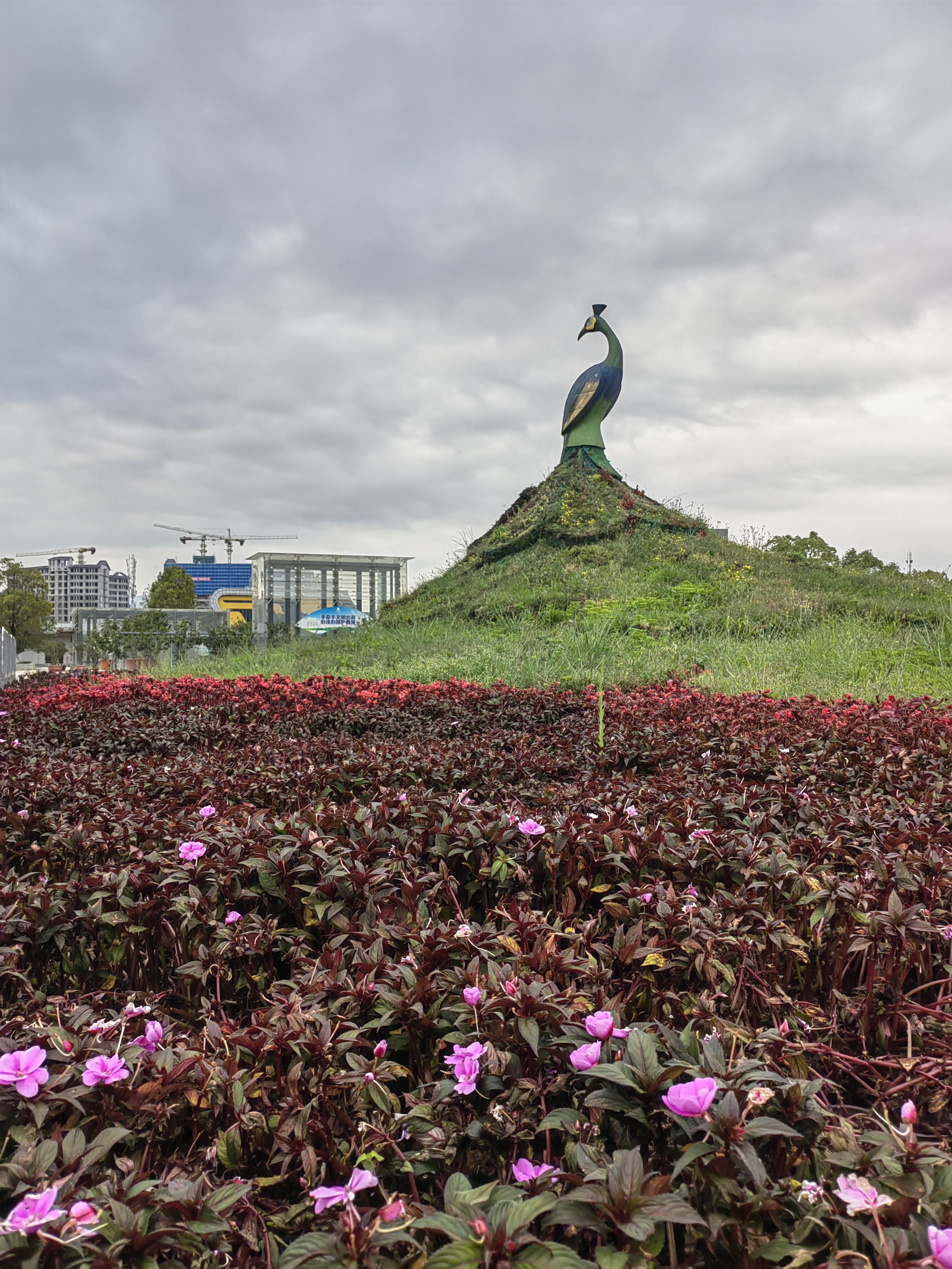 Autumn Kunming