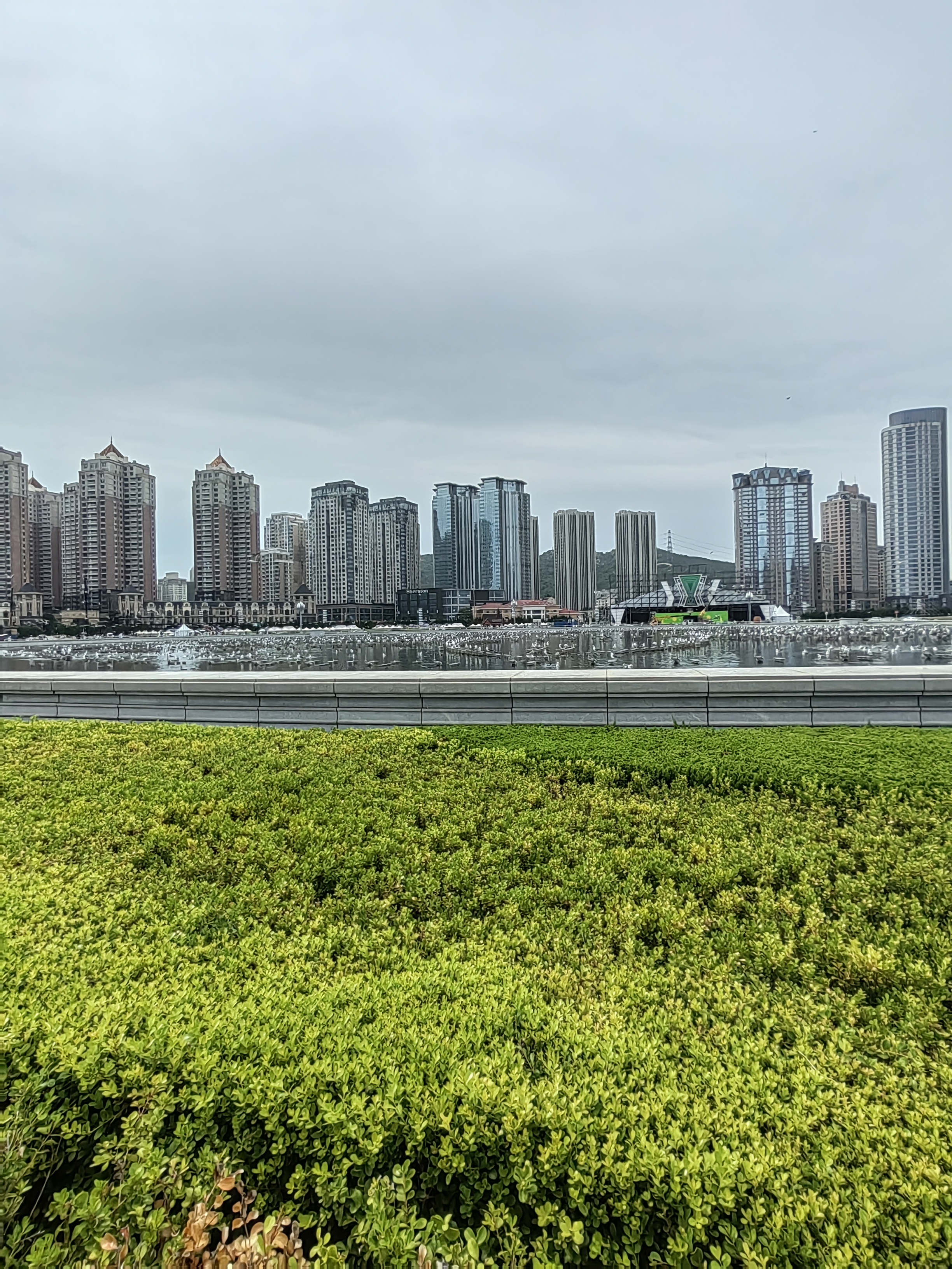 xinghaisqare